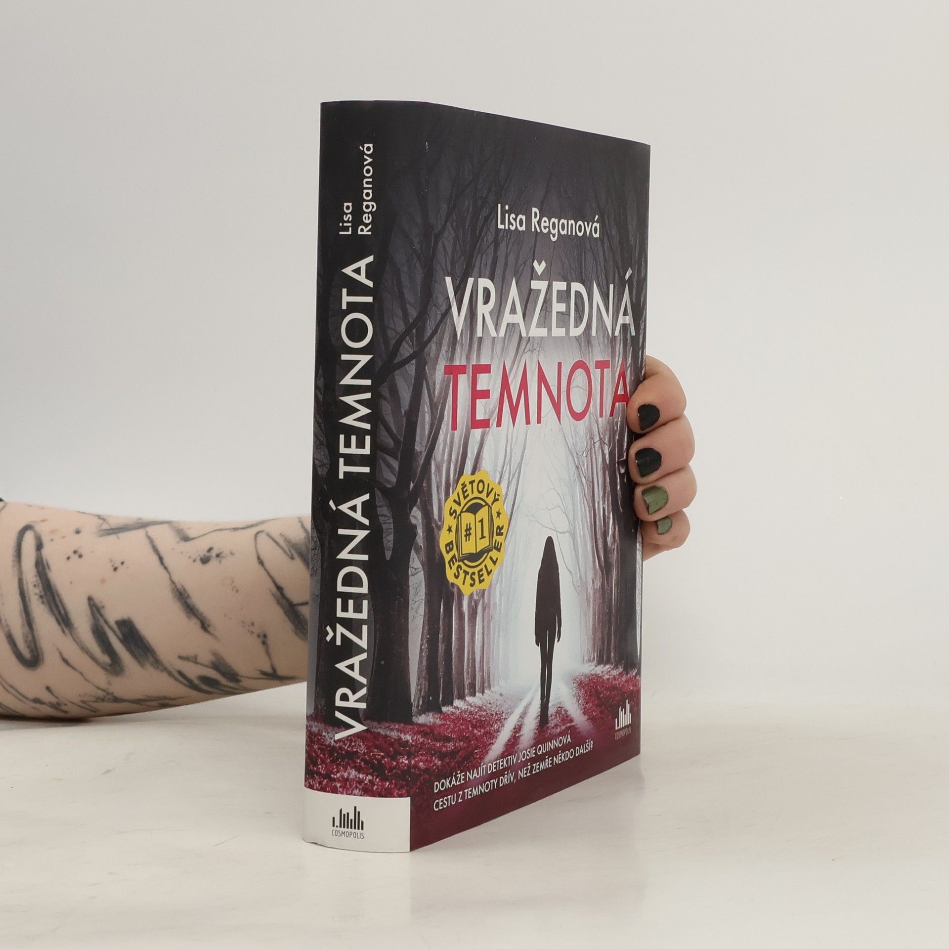 Lisa Regan Vražedná temnota