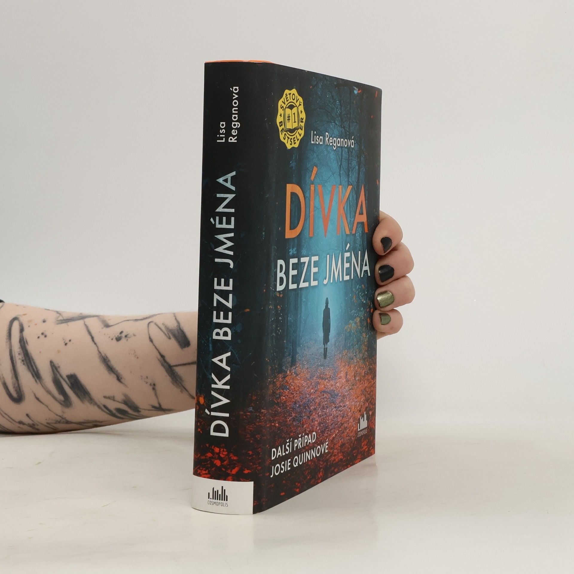 Lisa Regan Dívka beze jména: Další případ Josie Quinnové