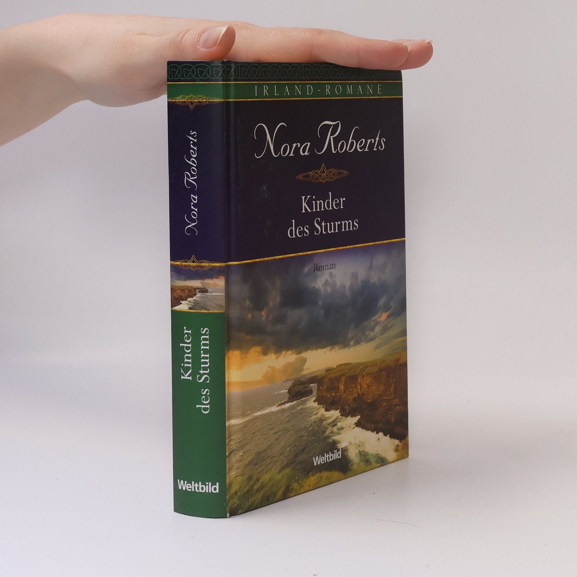 Nora Roberts Kinder des Sturms