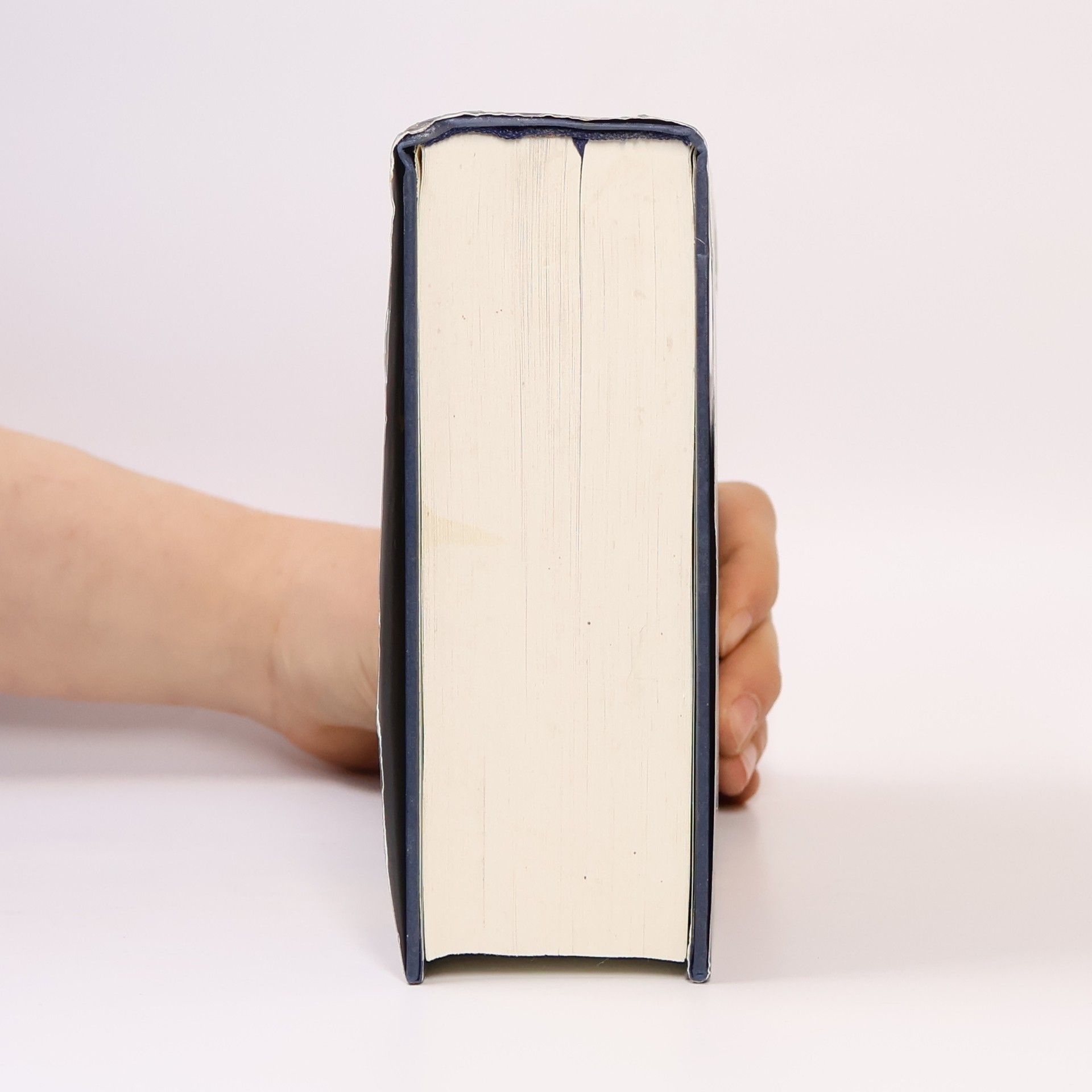 Stephenie Meyer Biss zur Mittagsstunde