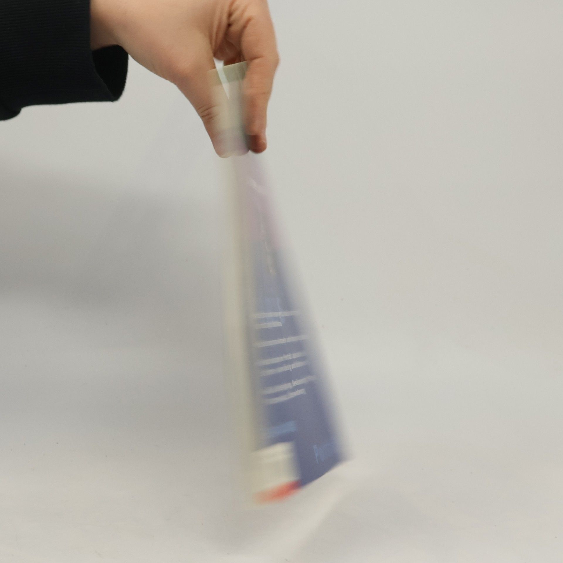 Eva Maria Geiger Balkonpflanzen