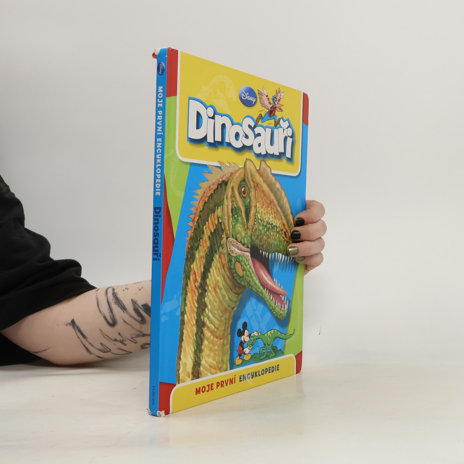 Michael Fokt Dinosauři: Moje první encyklopedie