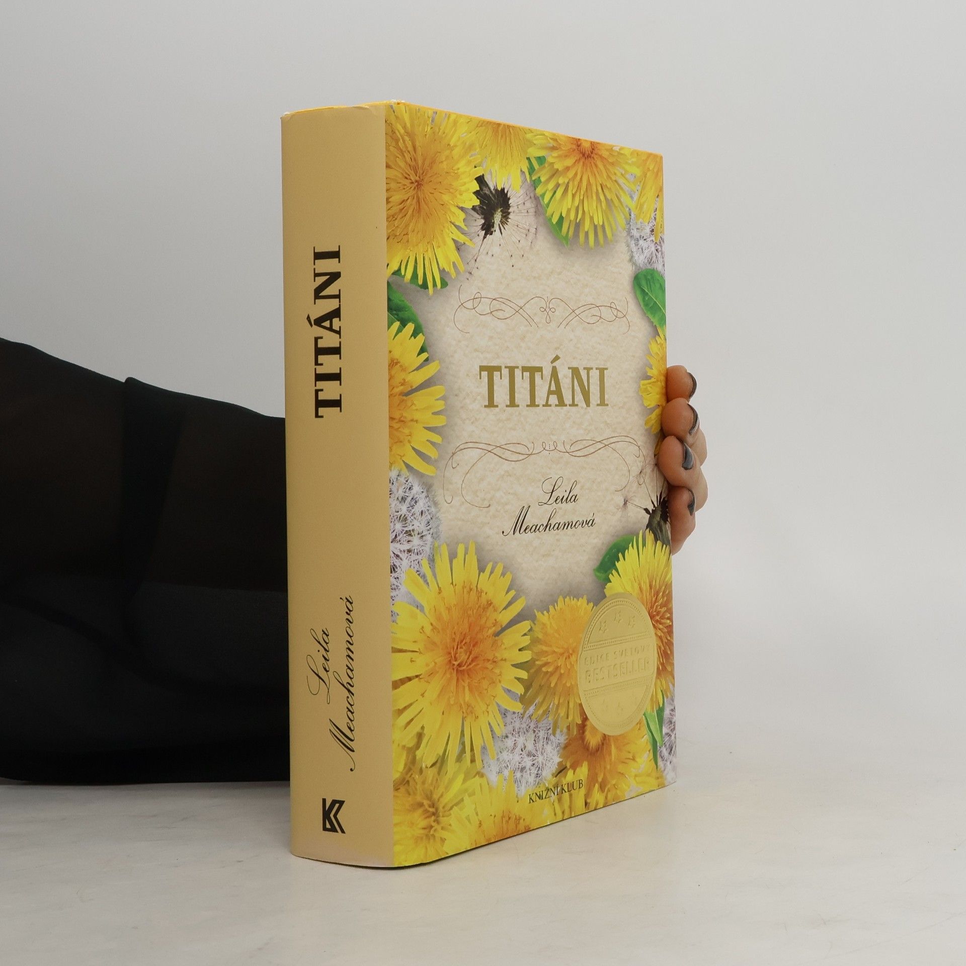 Leila Meacham Titáni