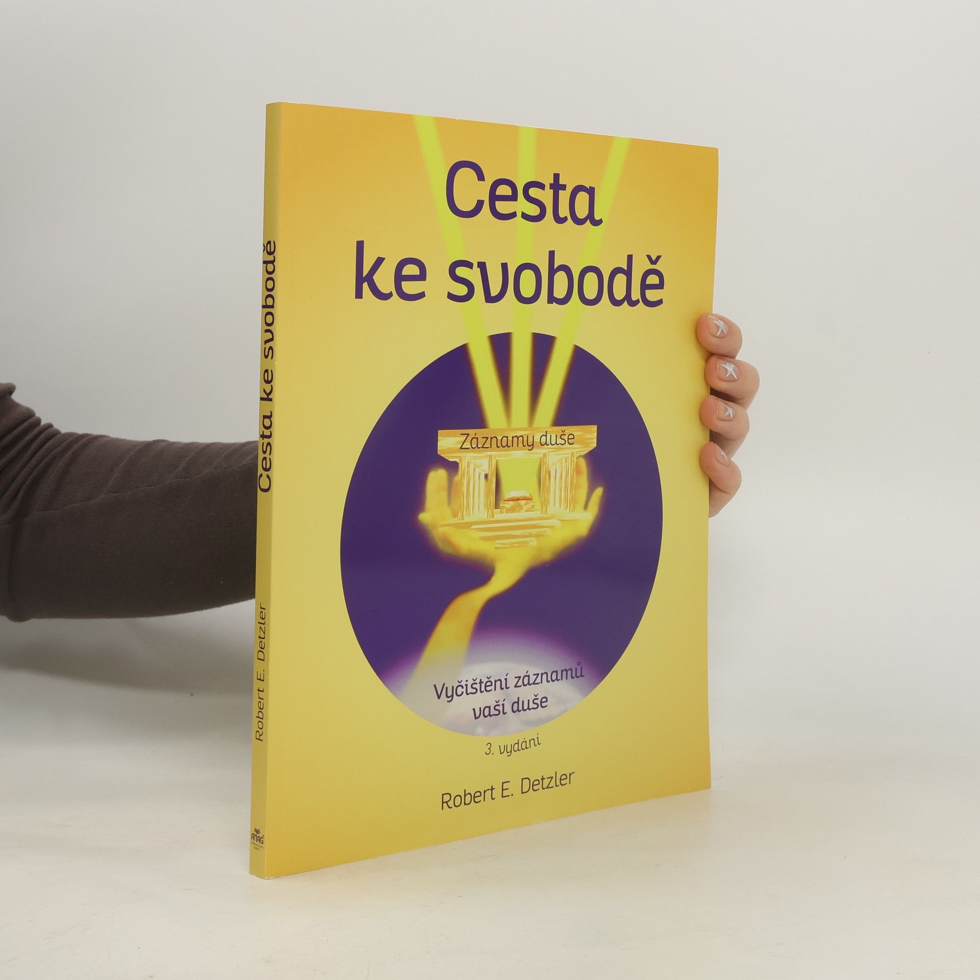 Robert E. Detzler Cesta ke svobodě : vyčištění záznamů vaší duše