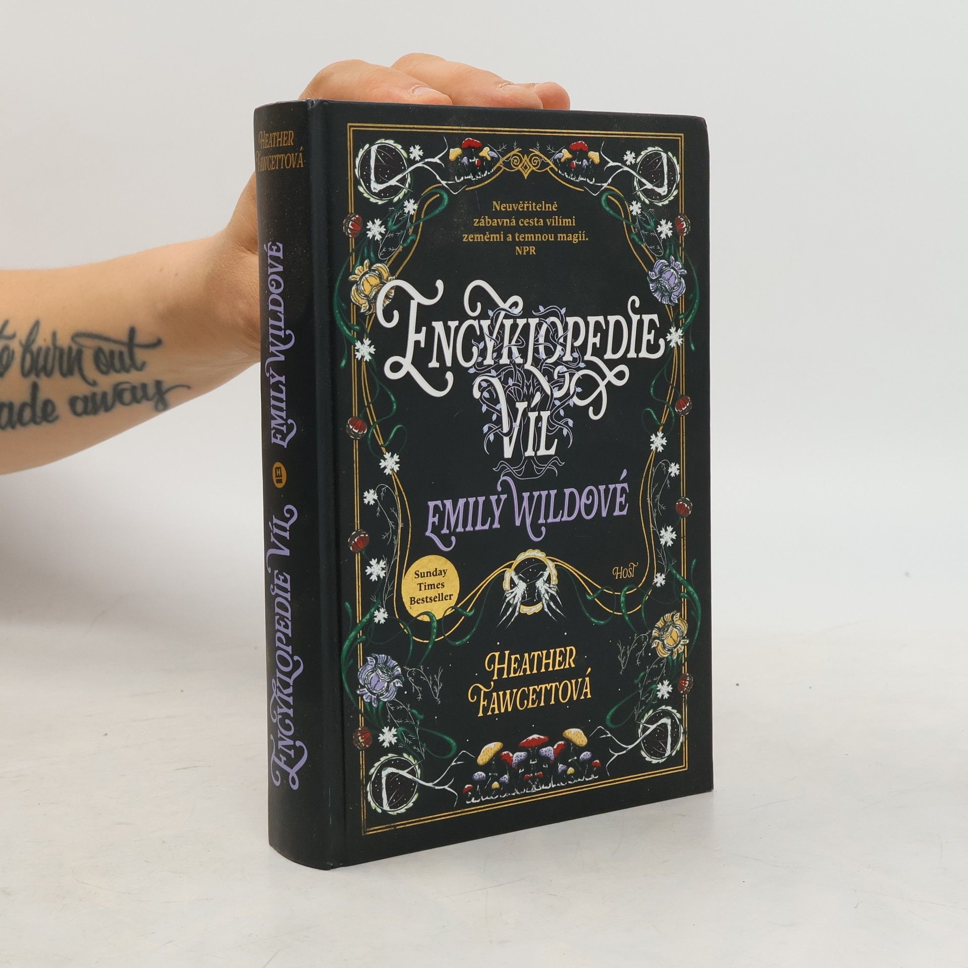Heather M. Fawcett Encyklopedie víl Emily Wildové