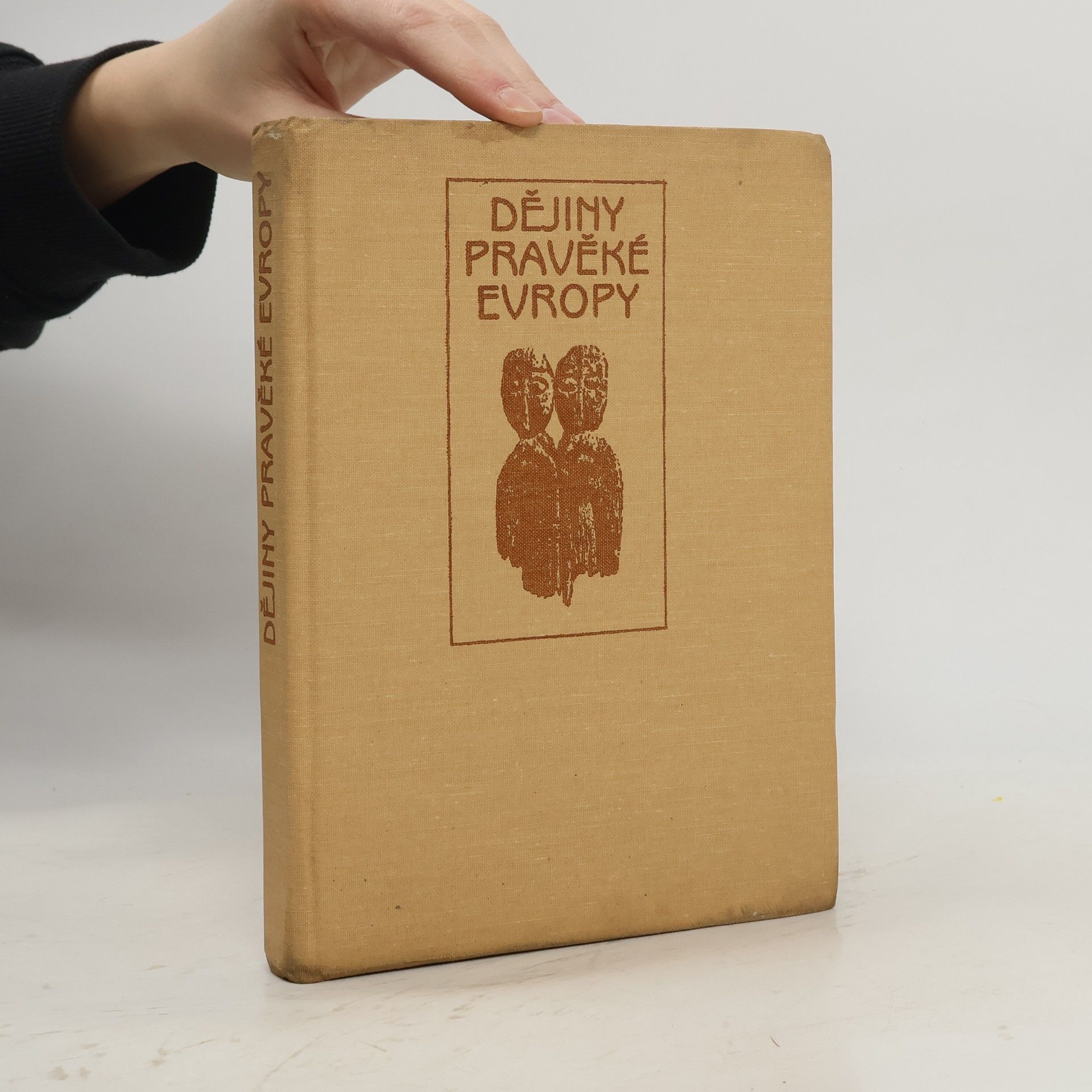 Miroslav Buchvaldek Dějiny pravěké Evropy