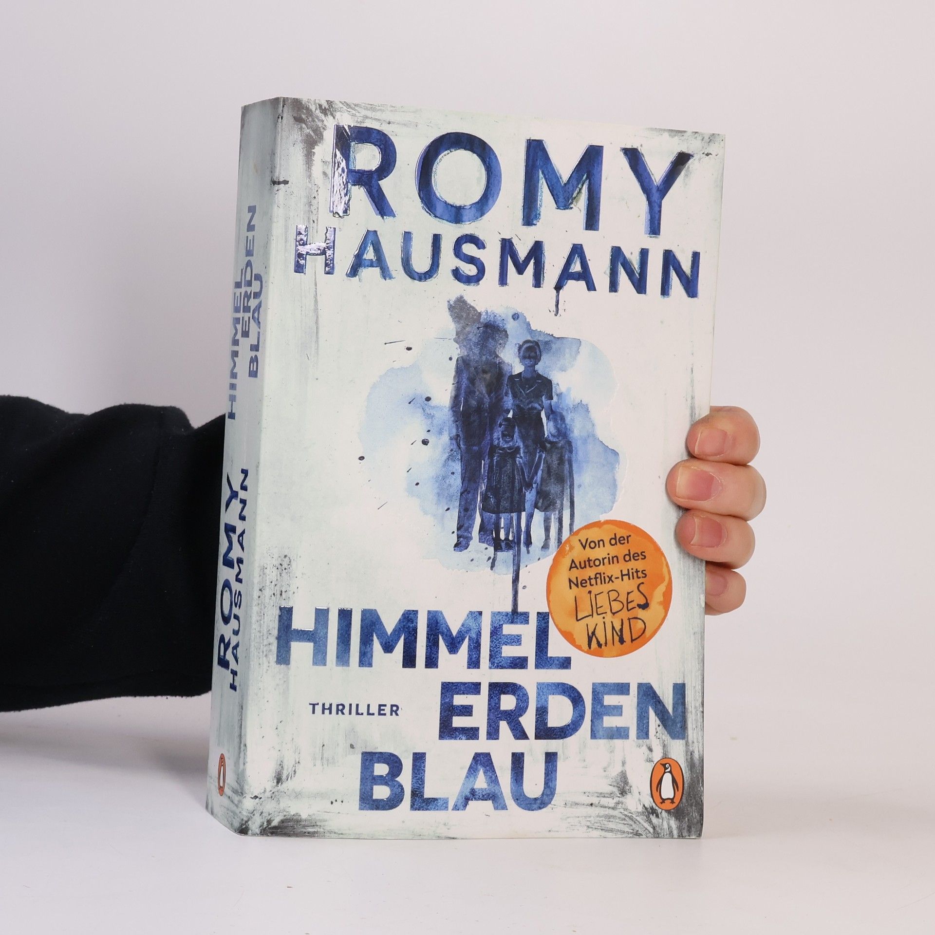 Romy Hausmann Himmelerdenblau