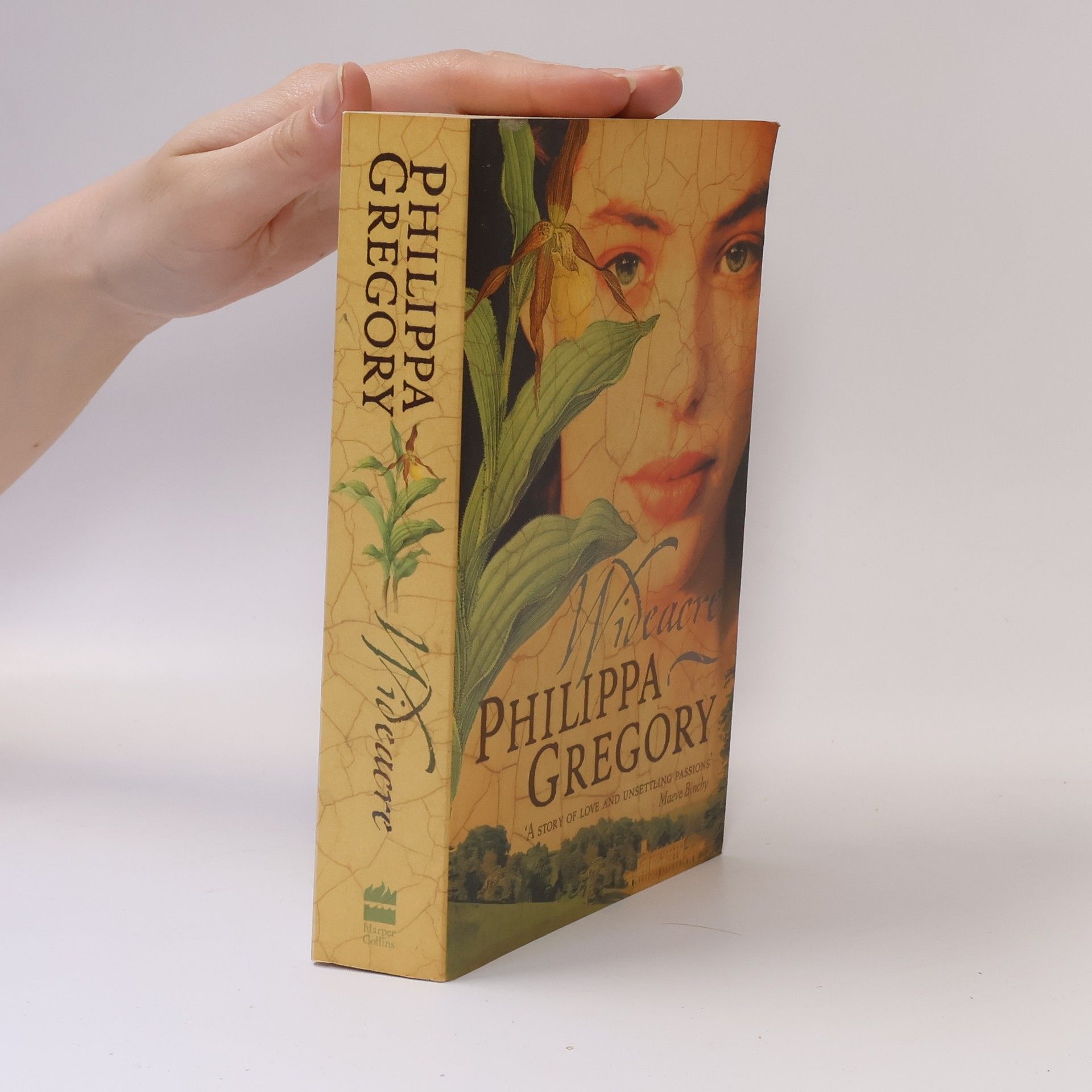 Philippa Gregory Wideacre