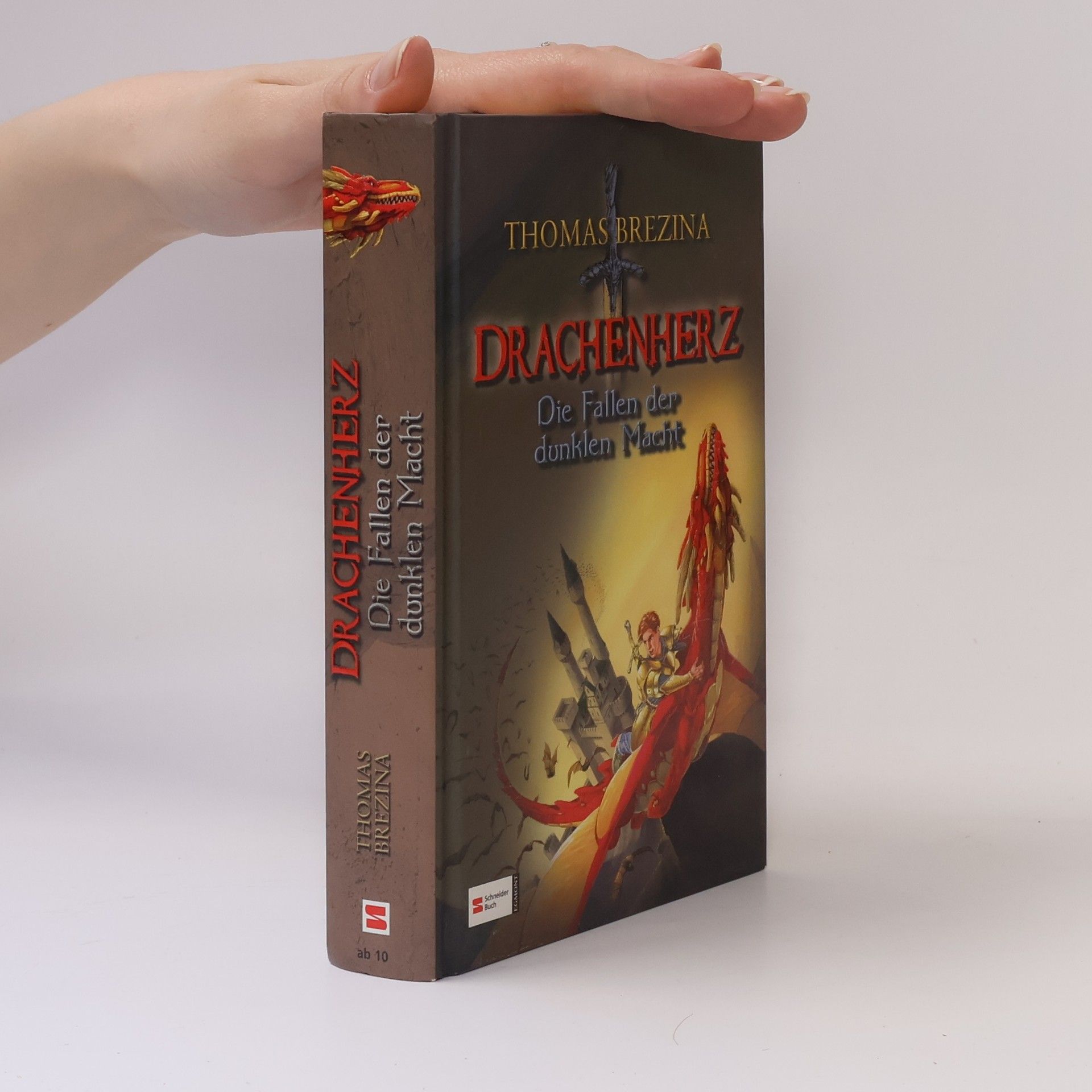 Thomas Brezina Drachenherz, Die Fallen der dunklen Macht