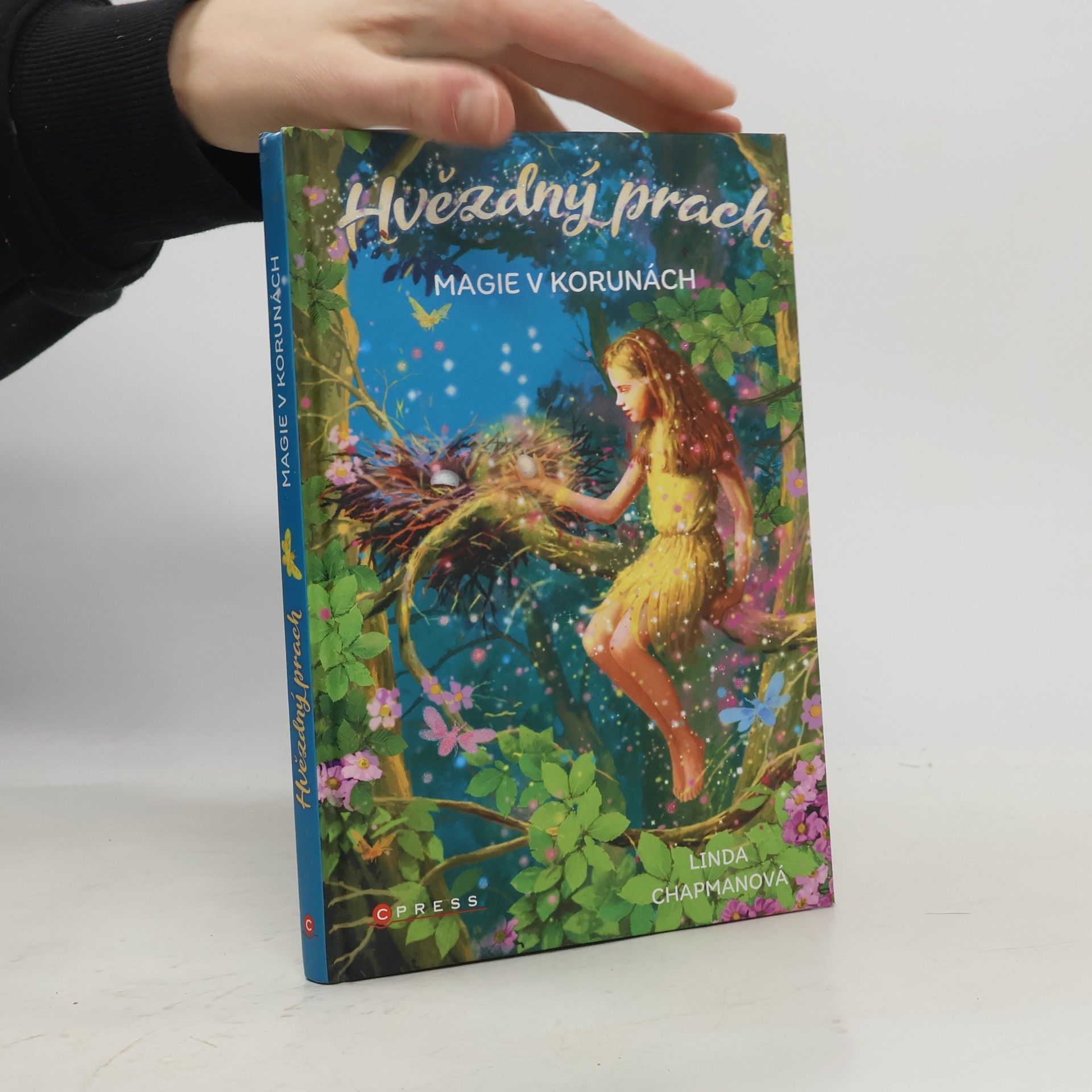 Linda Chapman Magie v korunách