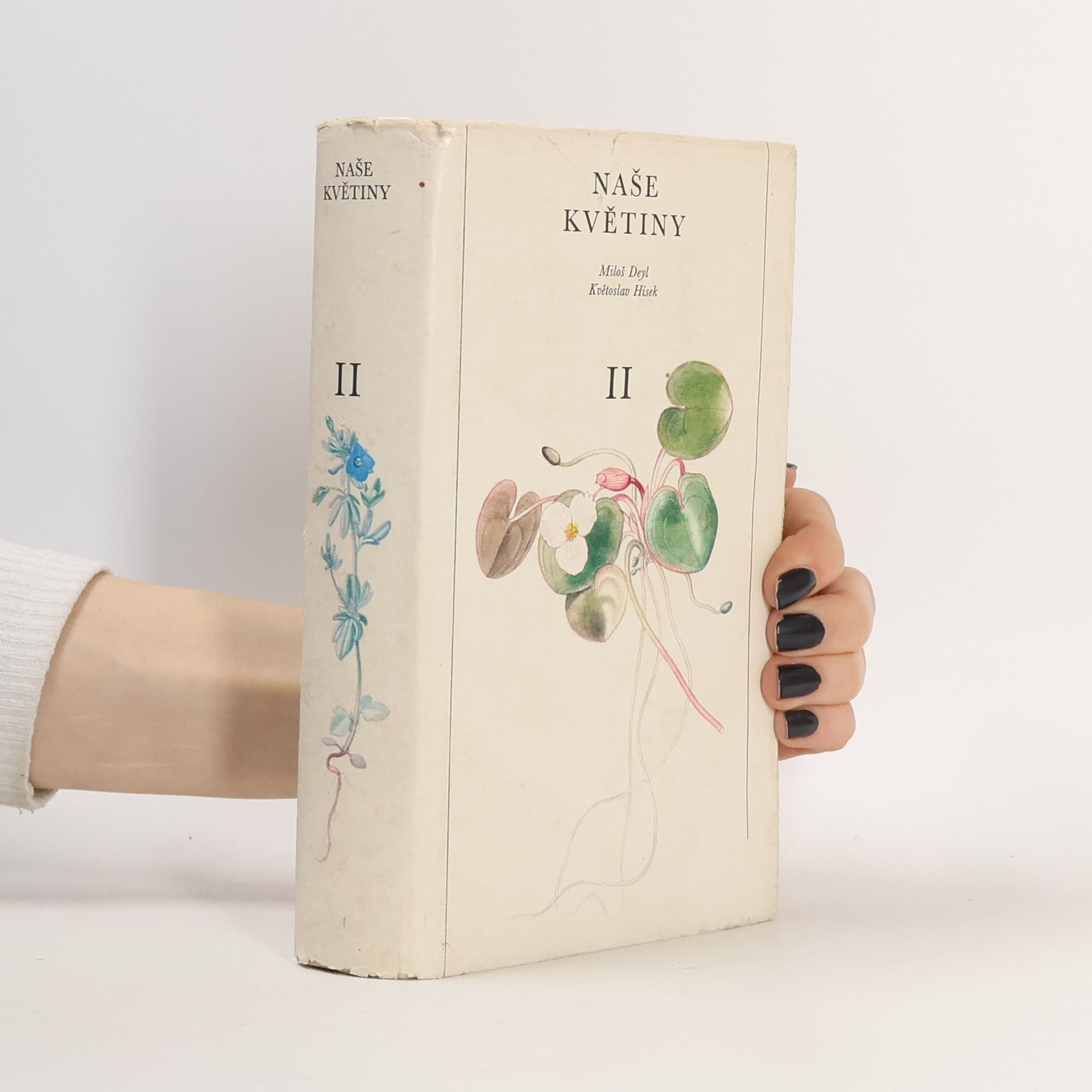 Naše květiny II