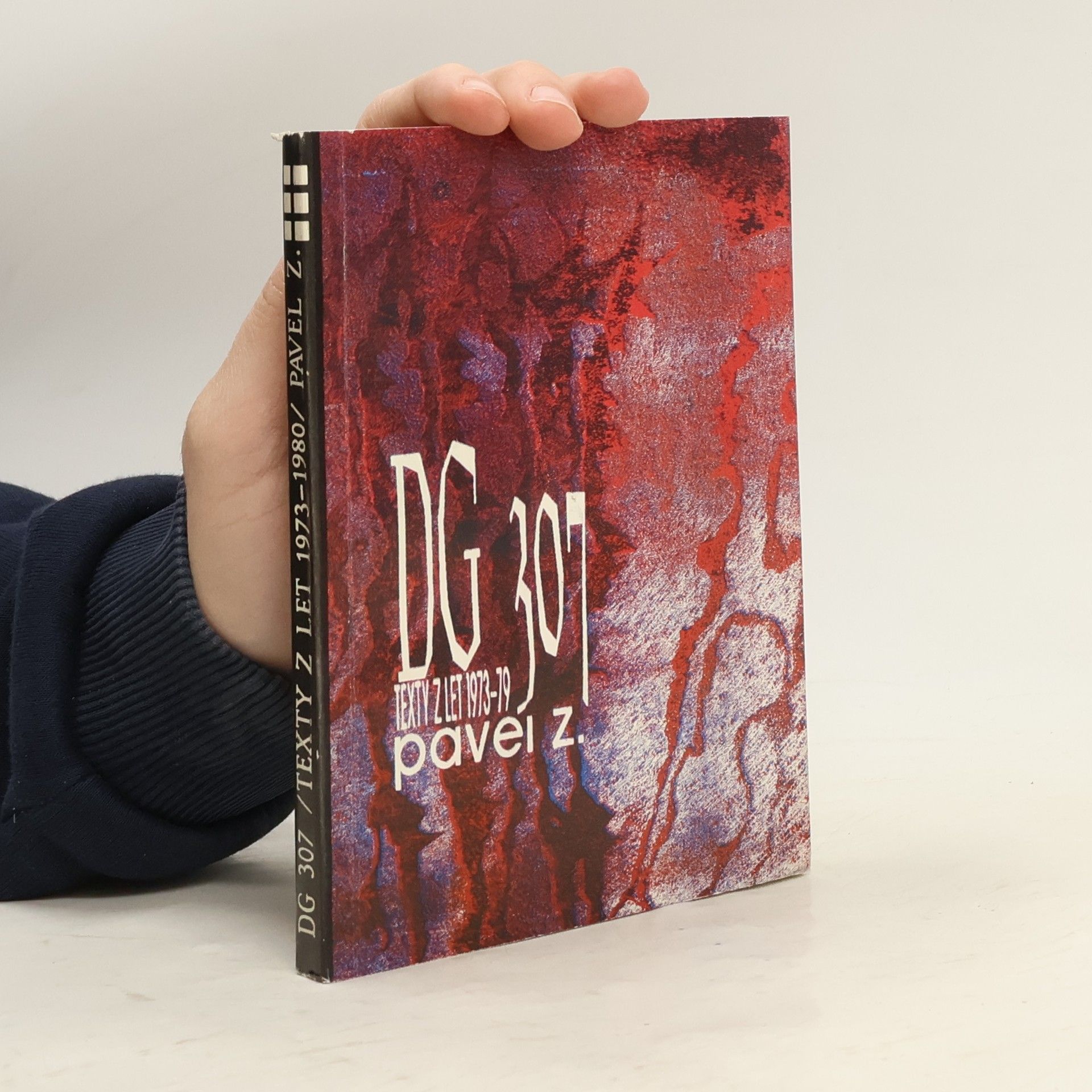 Pavel Zajíček DG 307 (texty z let 1973-1980)