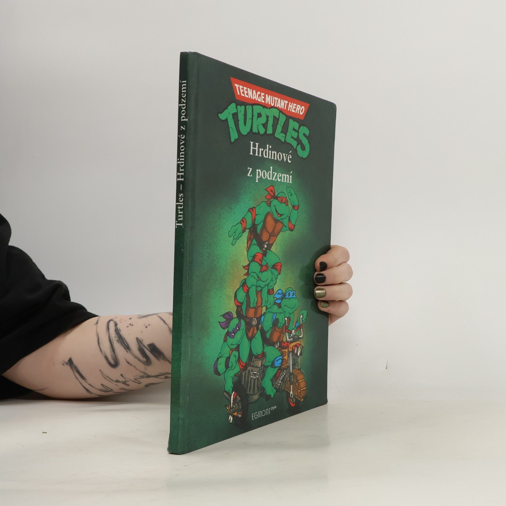 Maureen Spurgeon Teenage Mutant Ninja Turtles. Hrdinové z podzemí