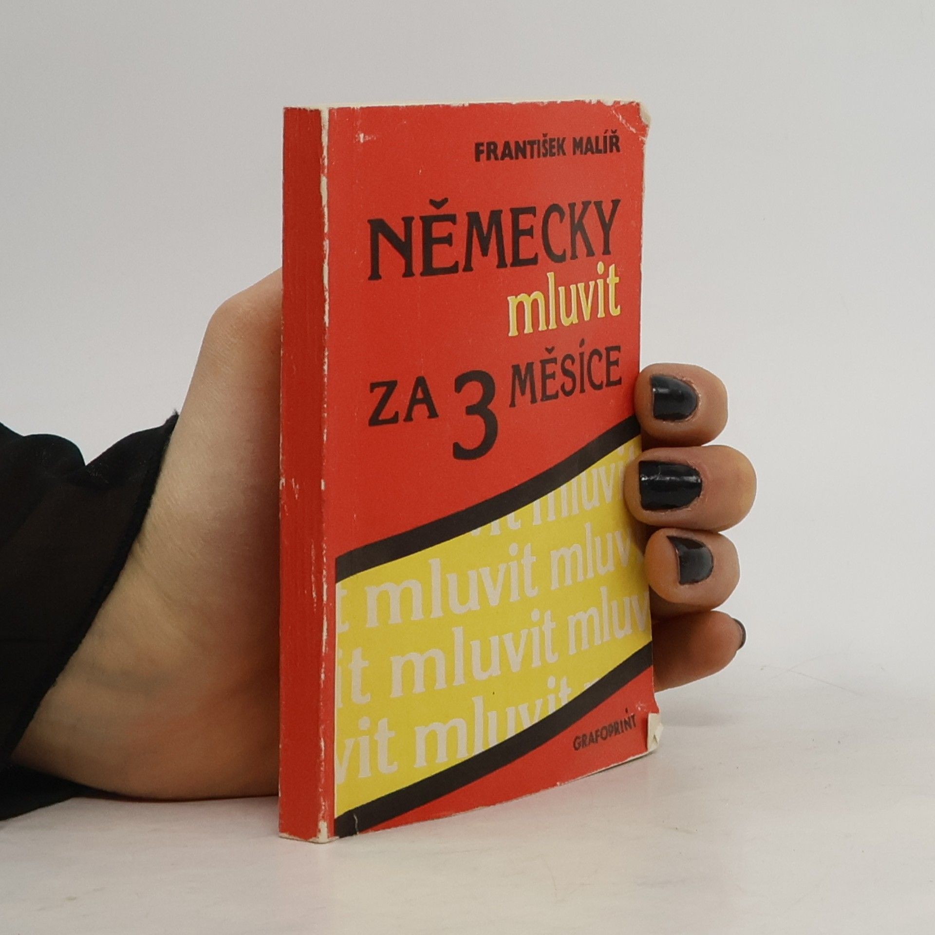 František Malíř Německy mluvit za 3 měsíce