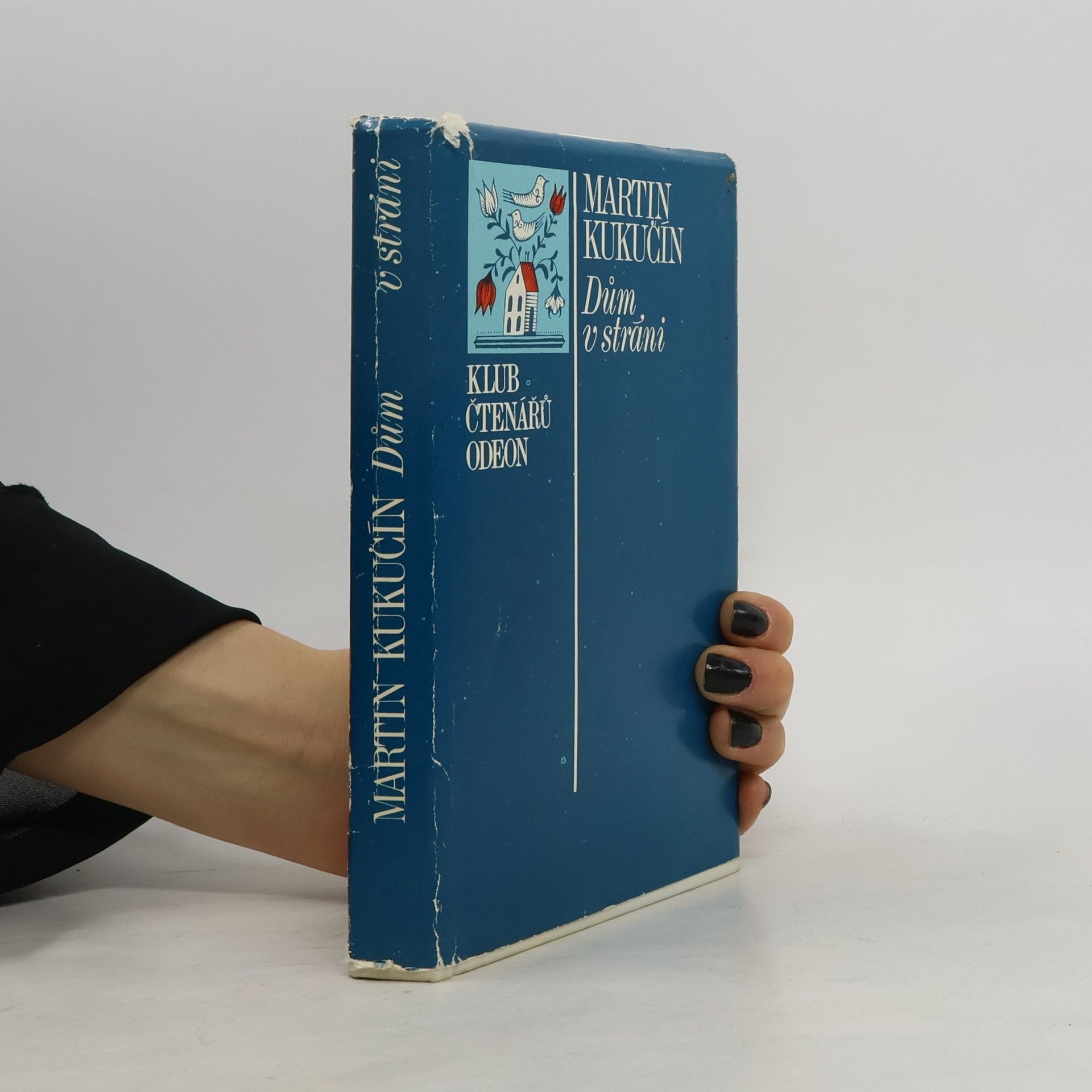 Martin Kukučín Dům v stráni