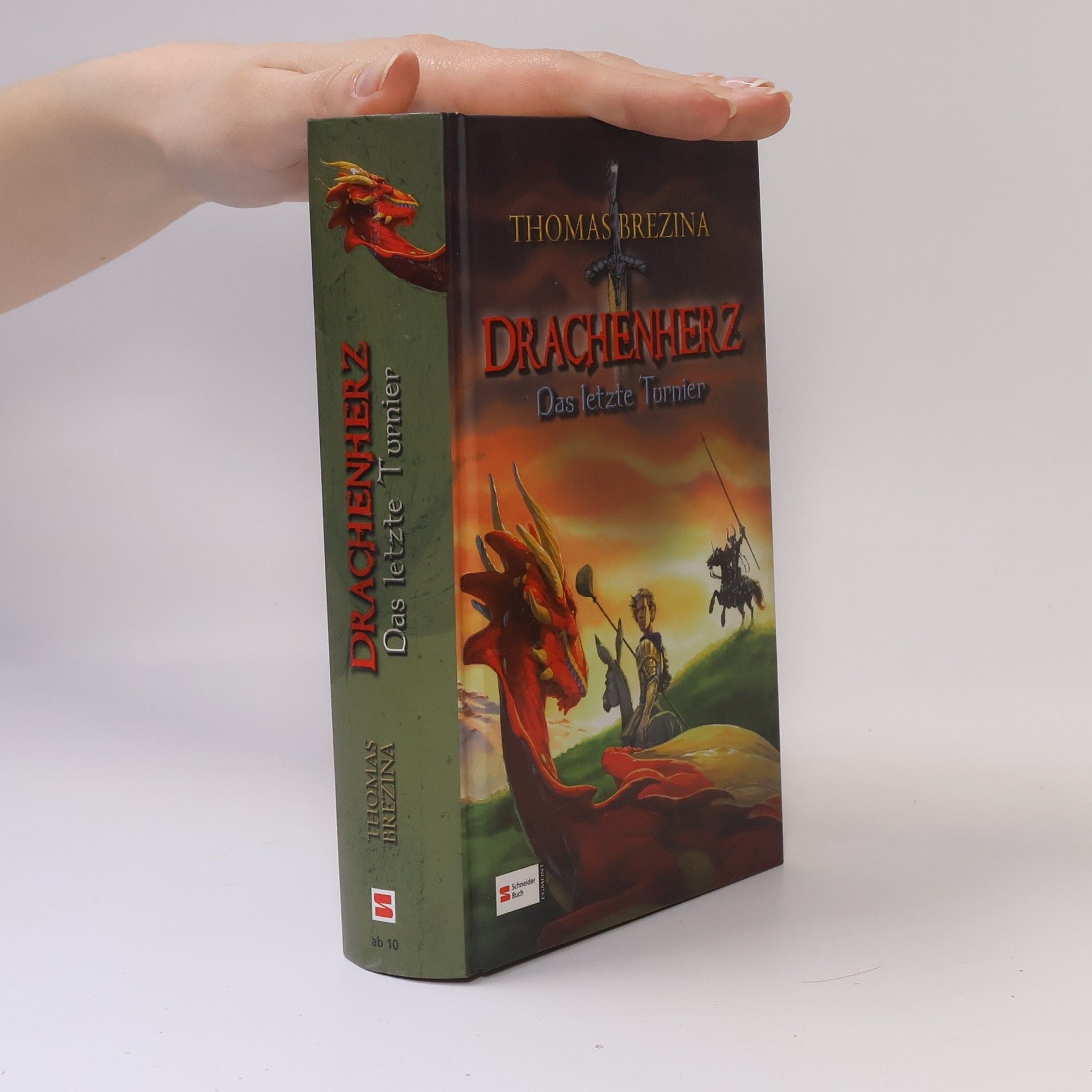 Thomas Brezina Drachenherz - Das letzte Turnier