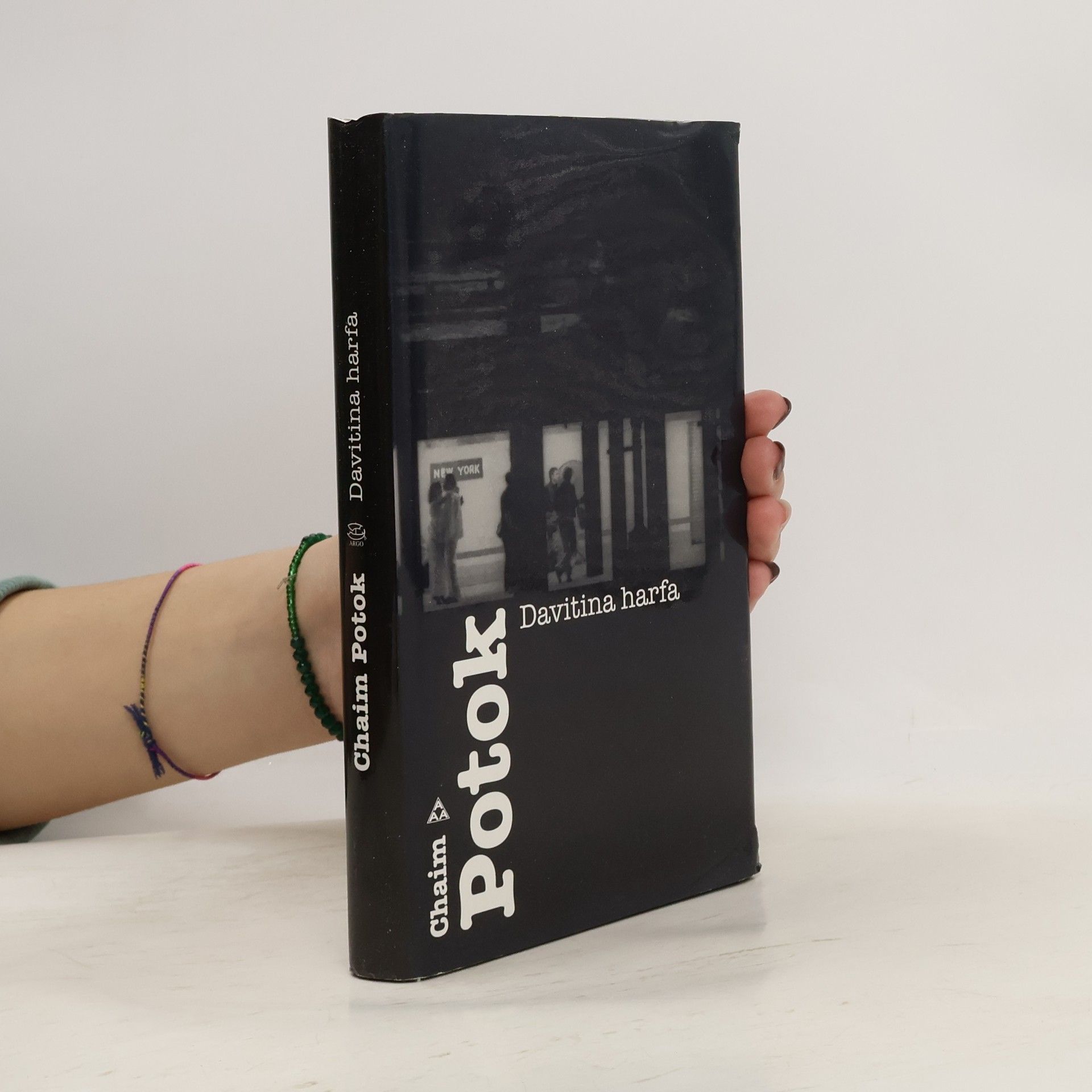 Chaim Potok Davitina harfa