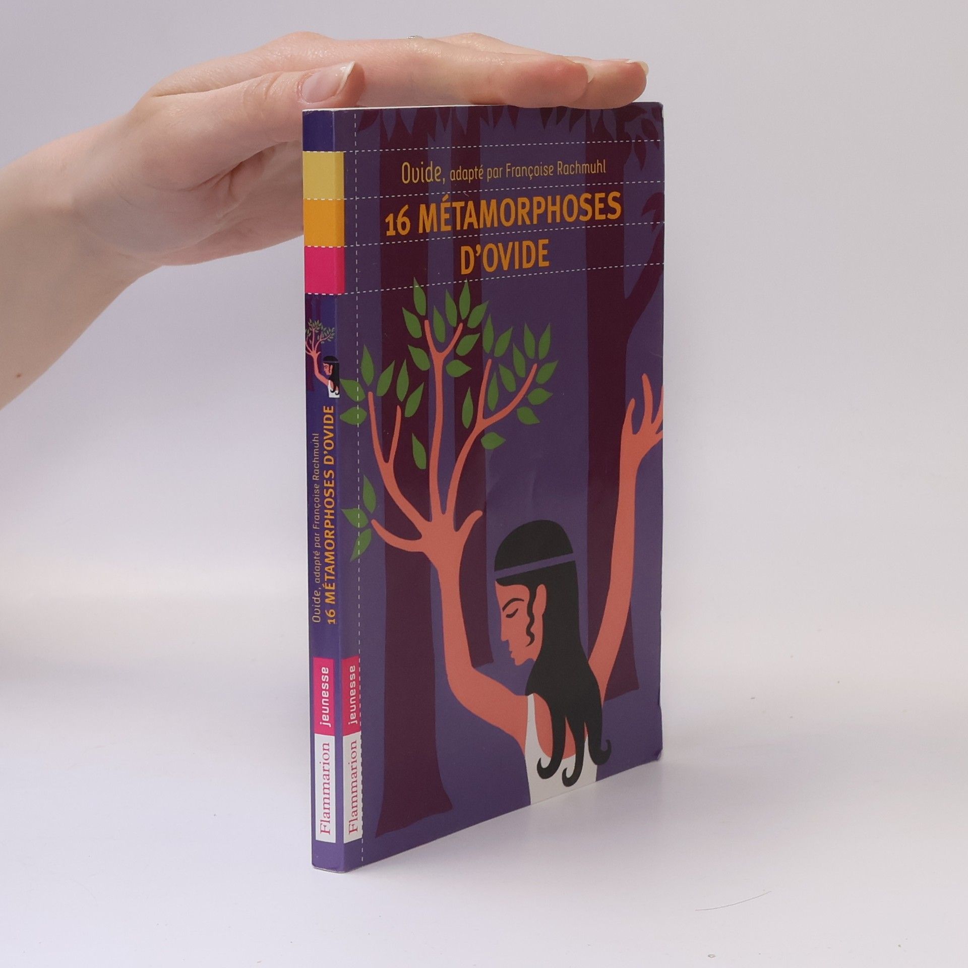 Frédéric Sochard jeunesse: 16 métamorphoses d'Ovide