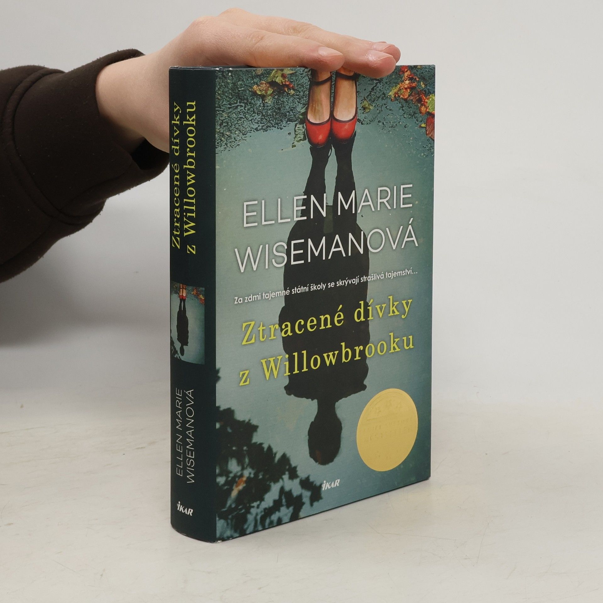 Ellen Marie Wiseman Ztracené dívky z Willowbrooku