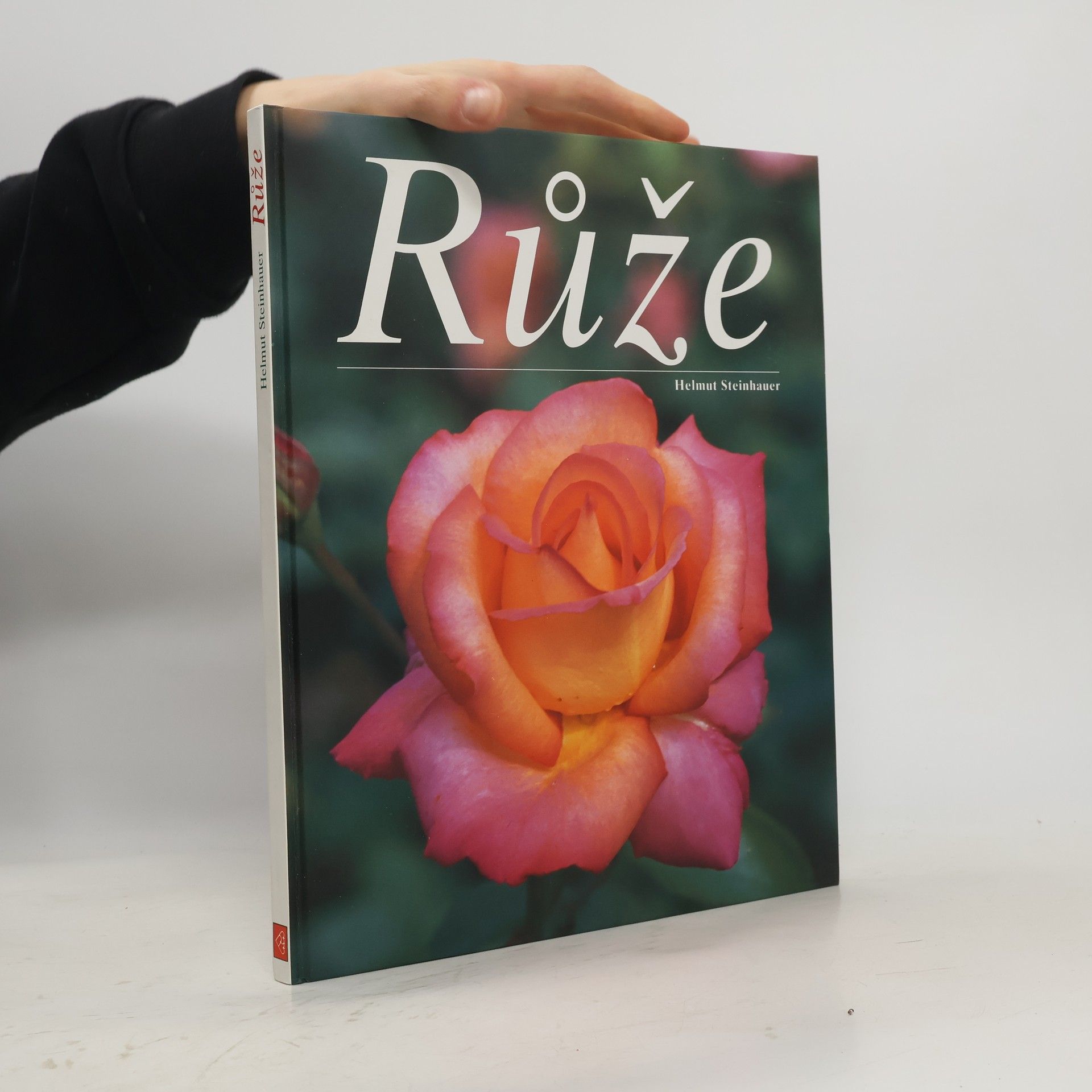 Helmut Steinhauer Růže