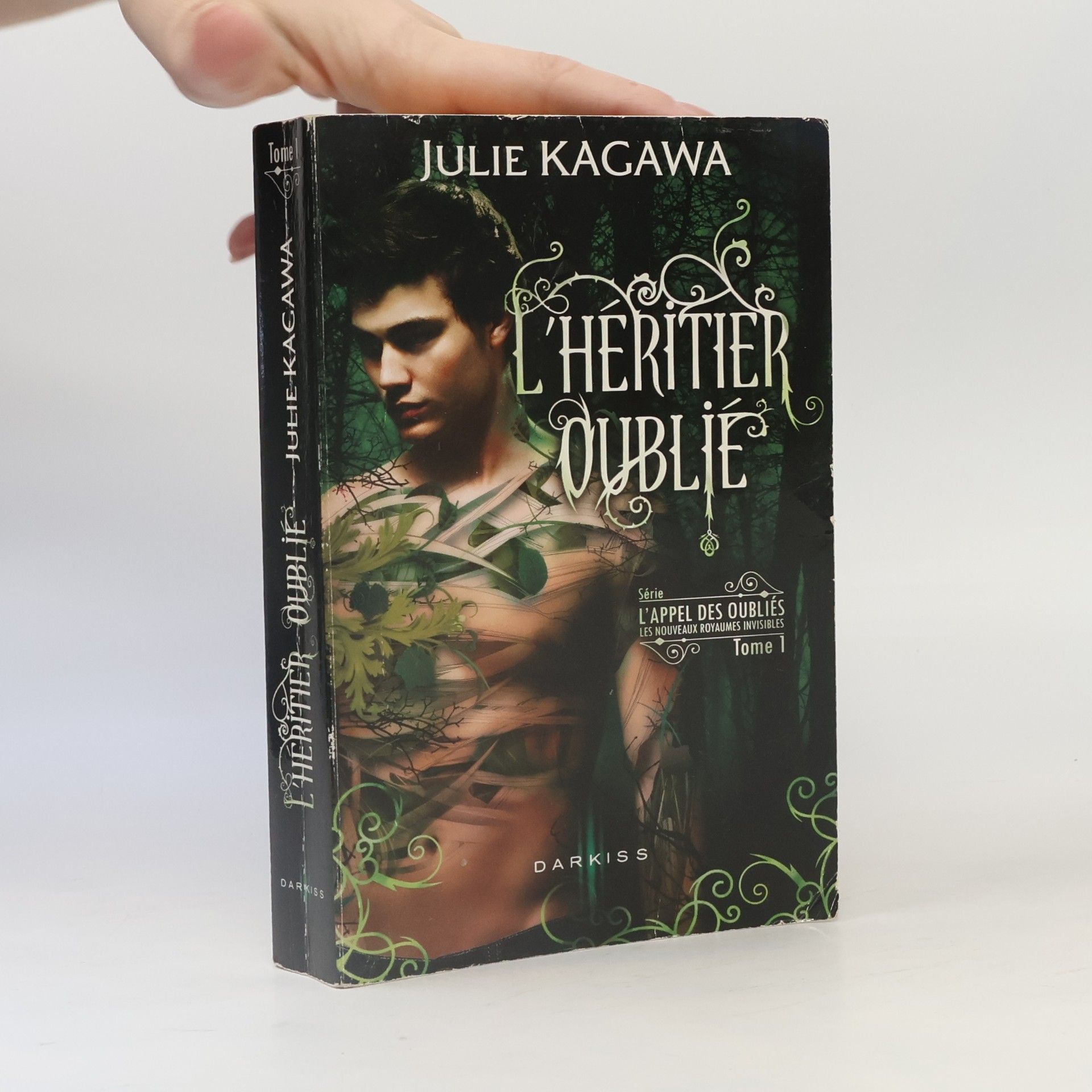 Julie Kagawa L'Appel des Oubliés - 1: L'héritier oublié