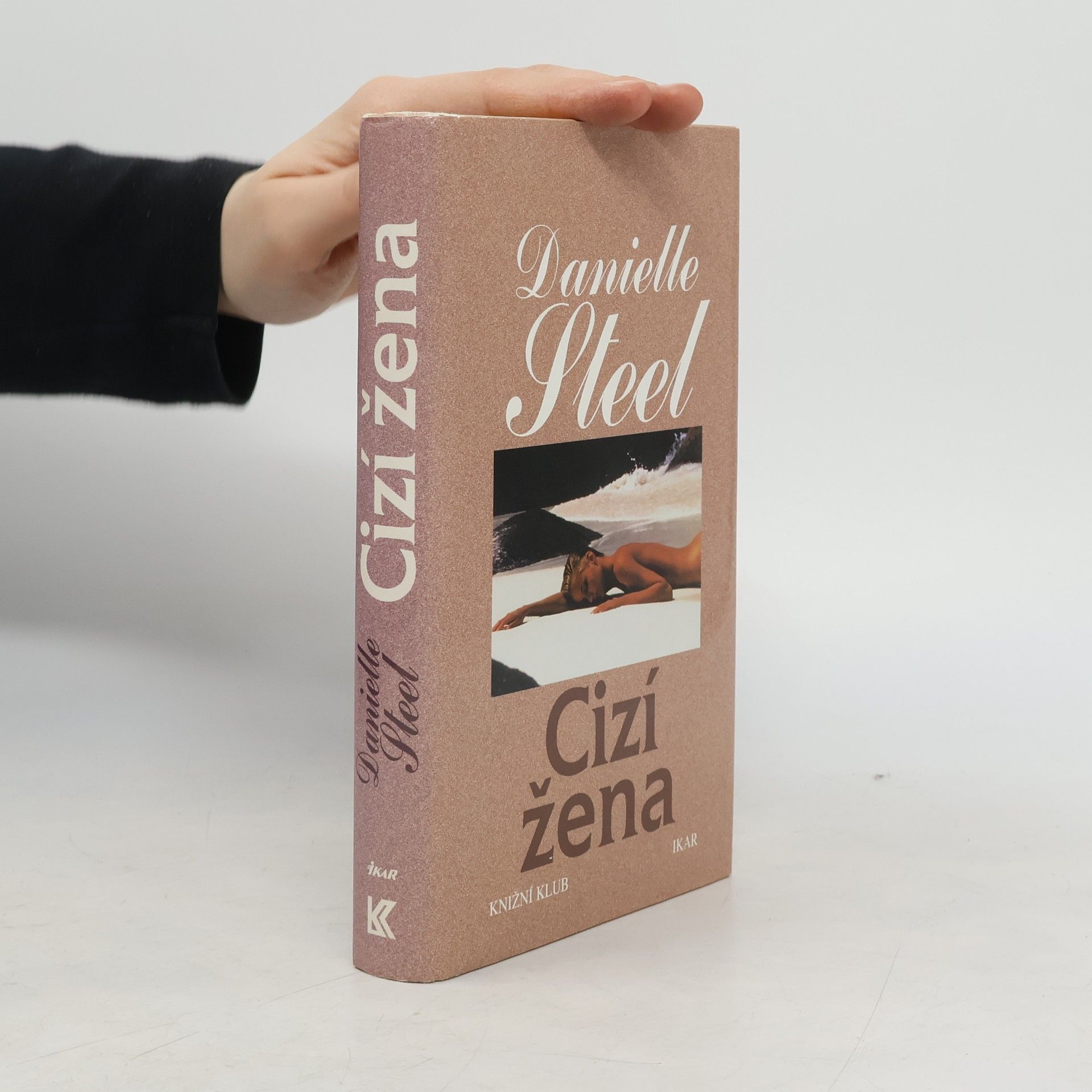 Danielle Steel Cizí žena