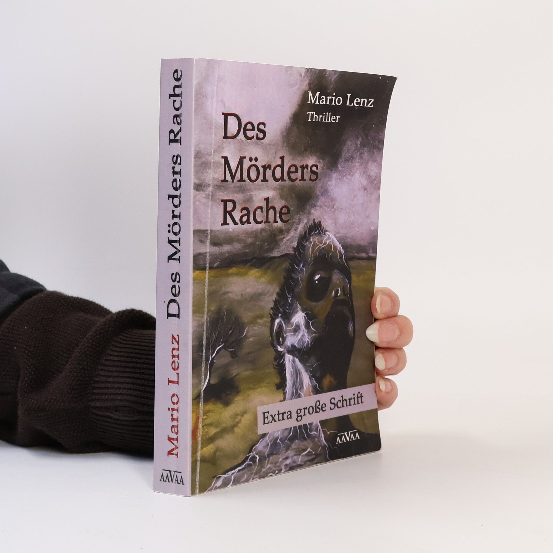 Mario Lenz Des Mörders Rache