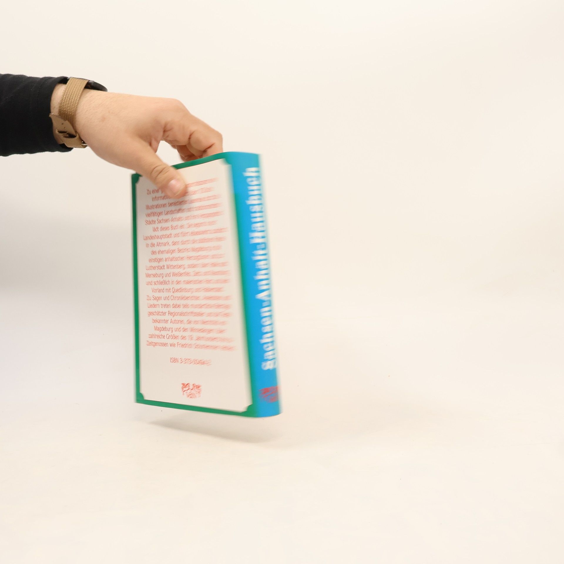 Diethard H. Klein Sachsen-Anhalt-Hausbuch