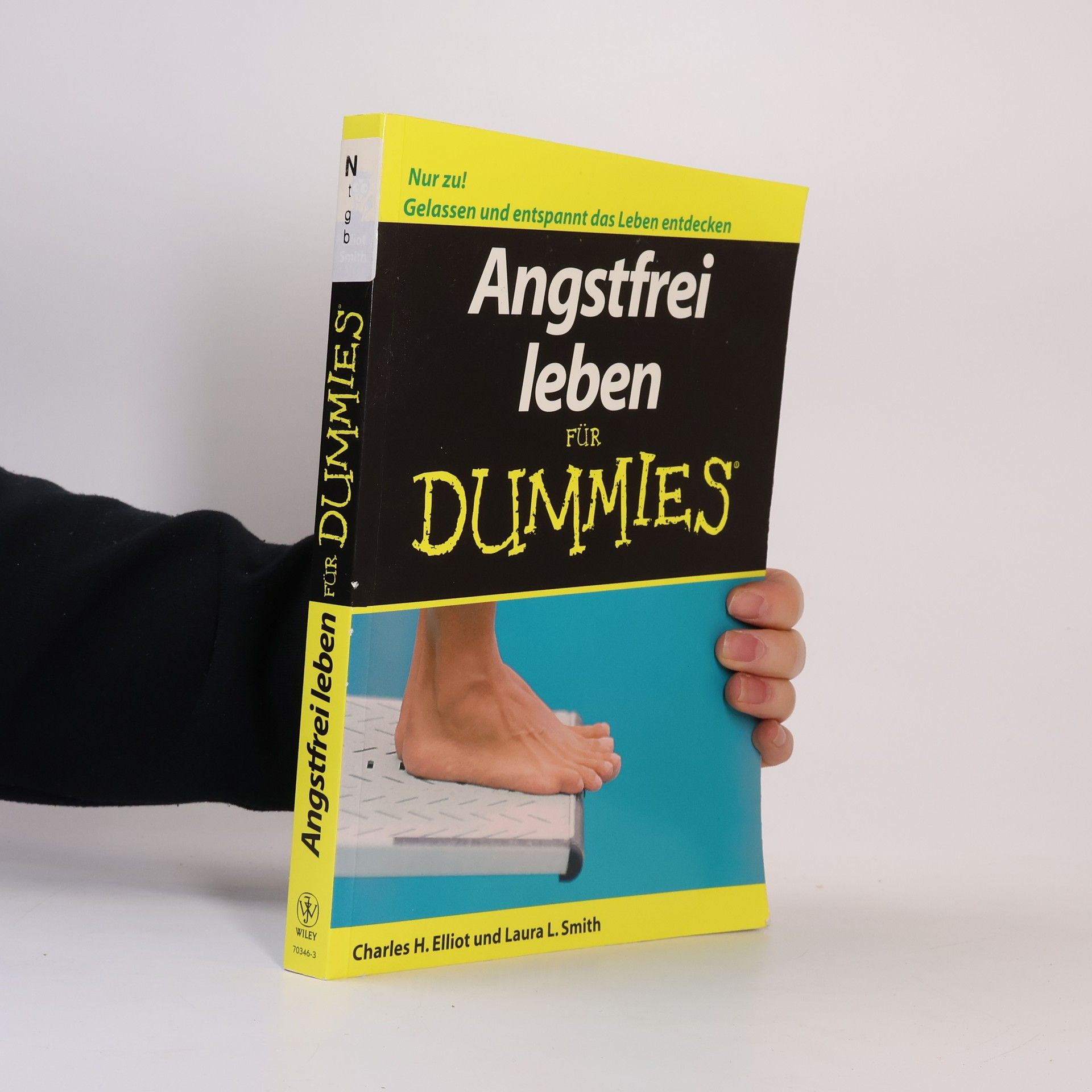 Charles H. Elliott Angstfrei leben für Dummies