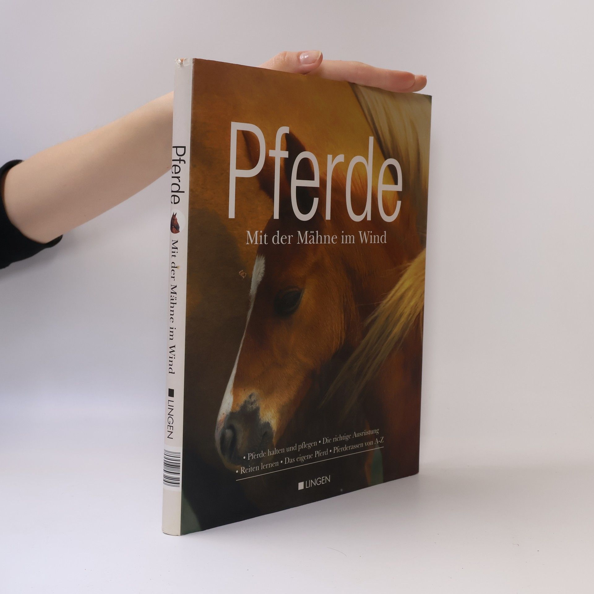 Kolektiv autorů Pferde. Mit der Mähne im Wind