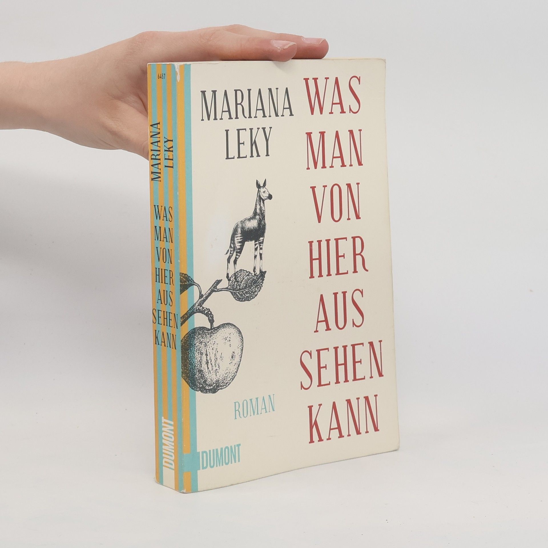 Mariana Leky Was man von hier aus sehen kann