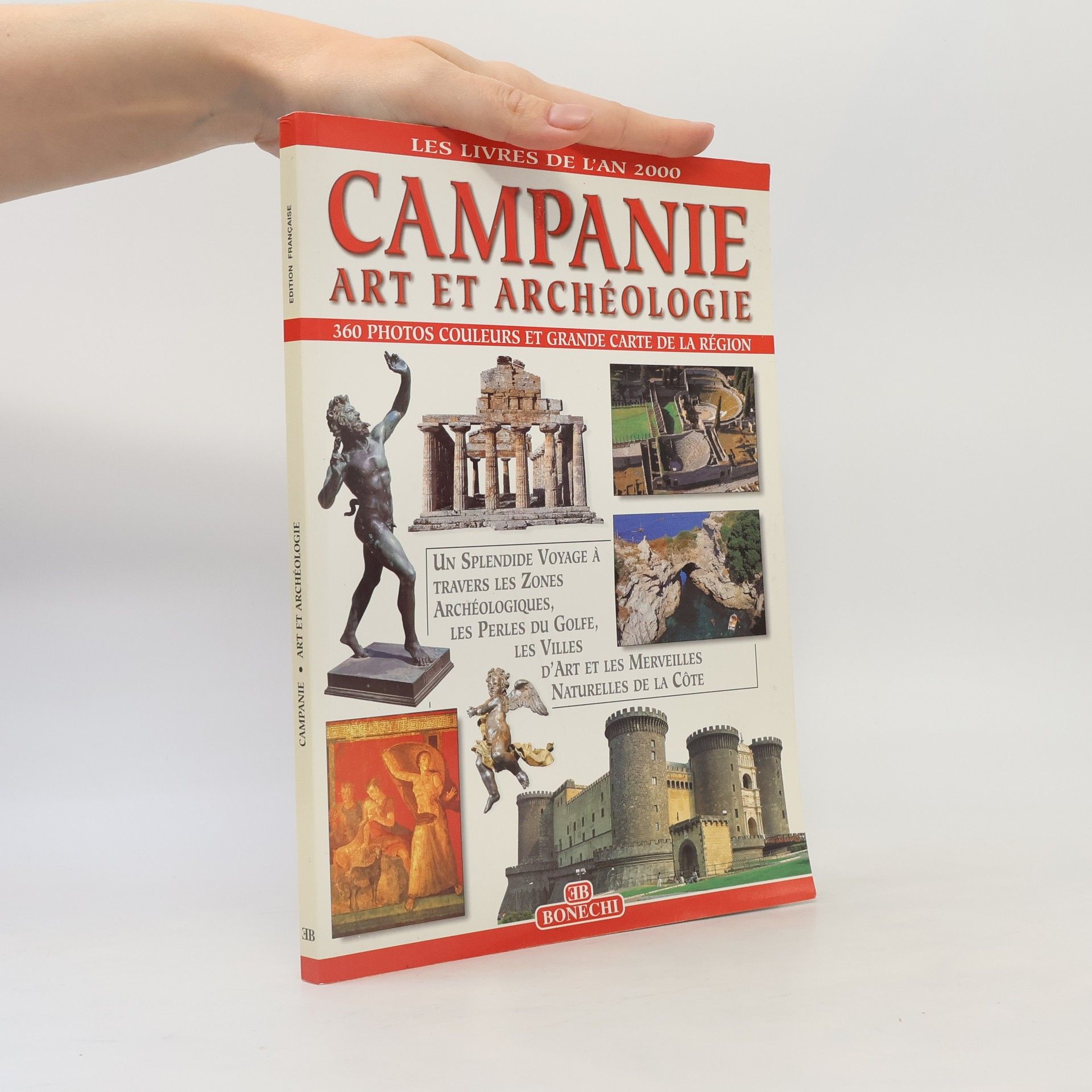 Patrizia Fabbri Campania. Arte e archeologia. Ediz. francese