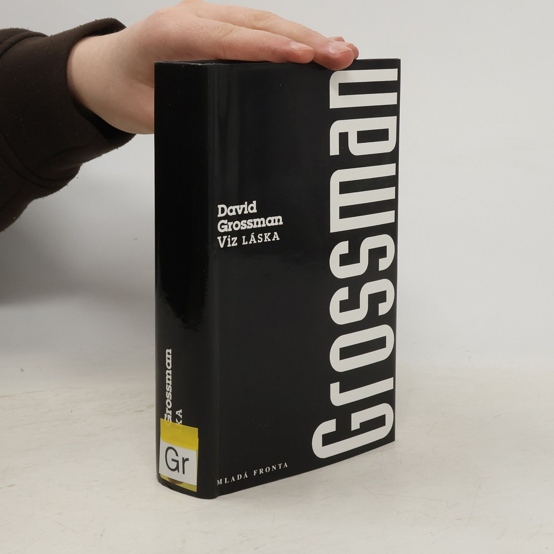 David Grossman Viz LÁSKA