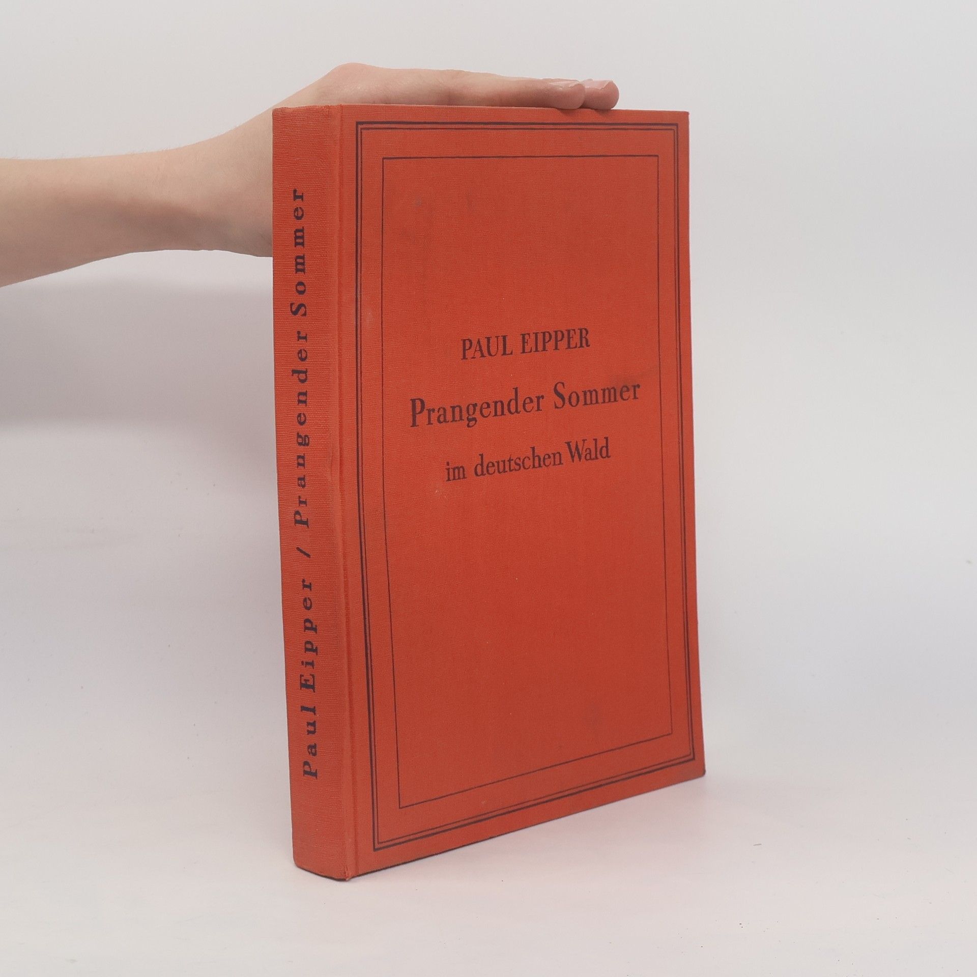 Paul Eipper Prangender Sommer im deutschen Wald
