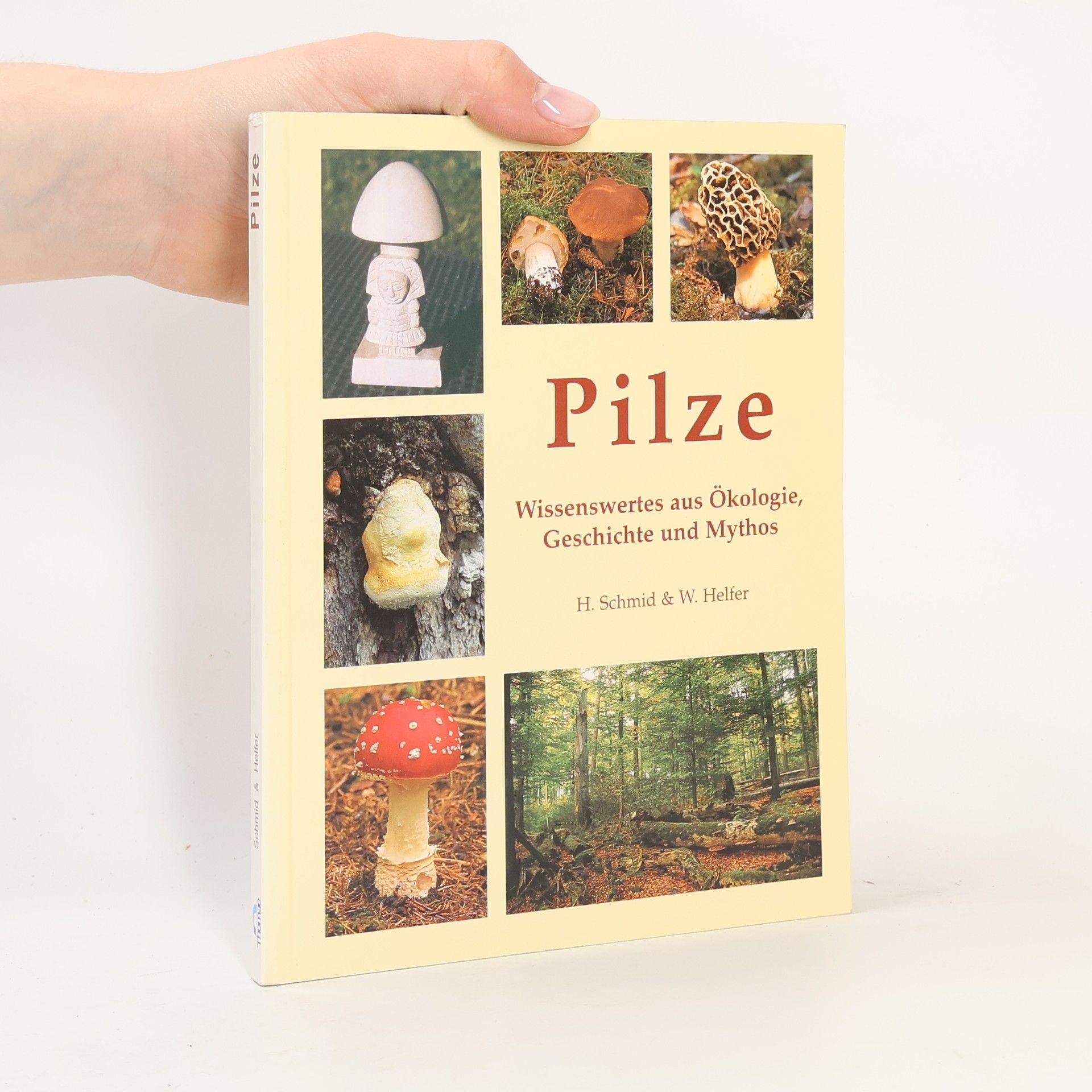 Helmuth Schmid Heckel Pilze