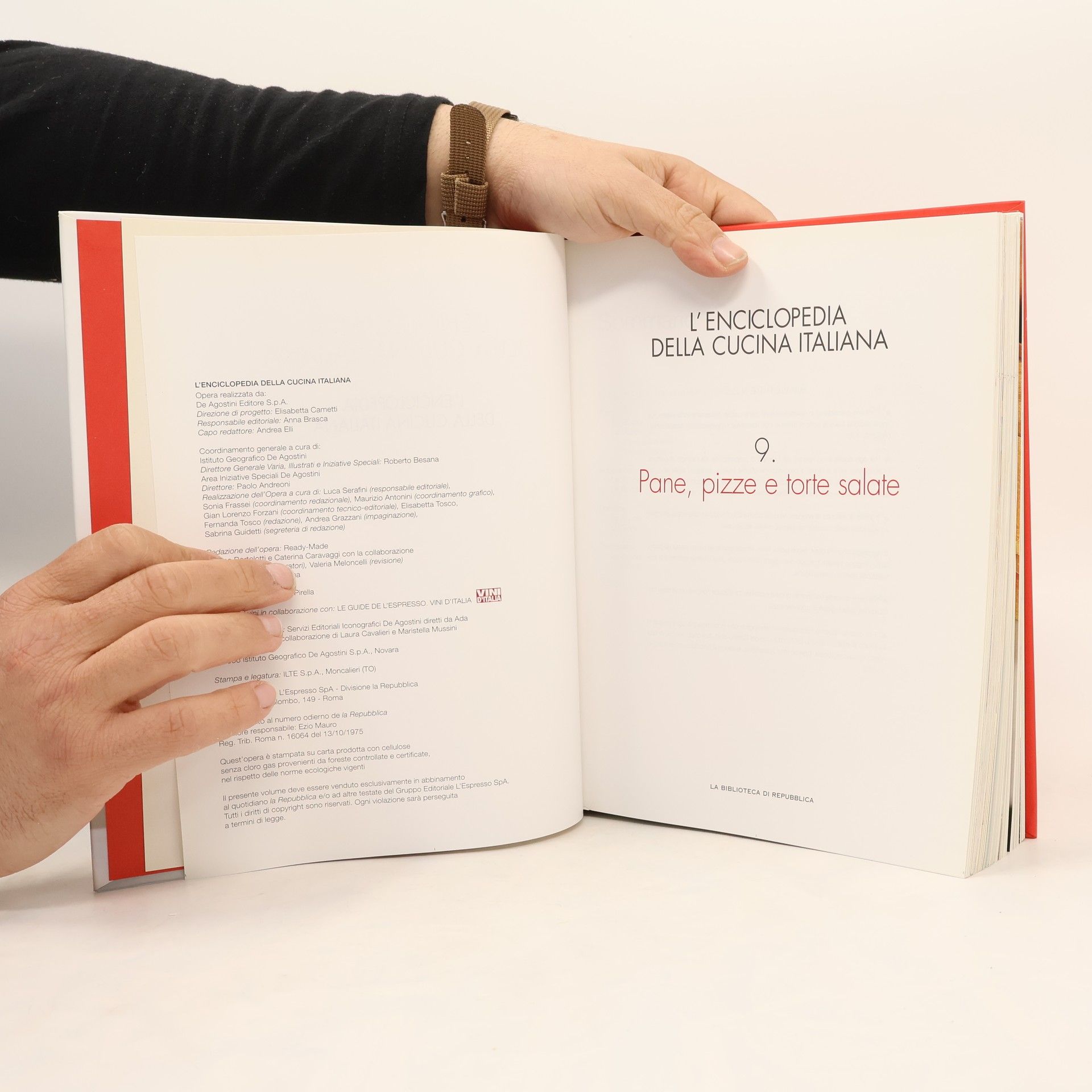 AA.VV. L'enciclopedia della cucina italiana 9. Pane, pizze e torte salate