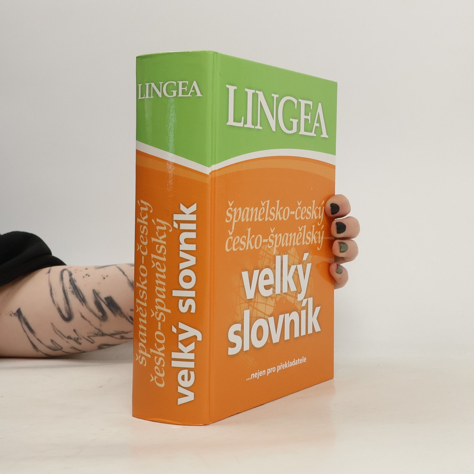 AA.VV. Španělsko-český, česko-španělský velký slovník