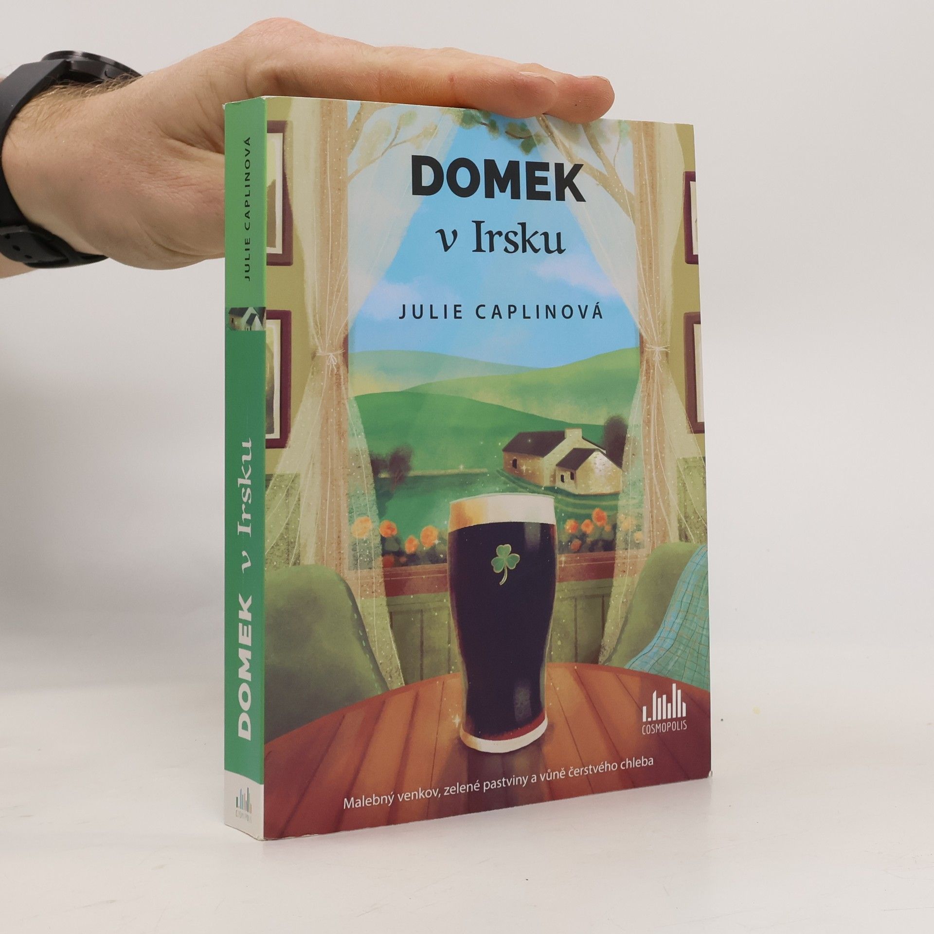 Julie Caplin Domek v Irsku