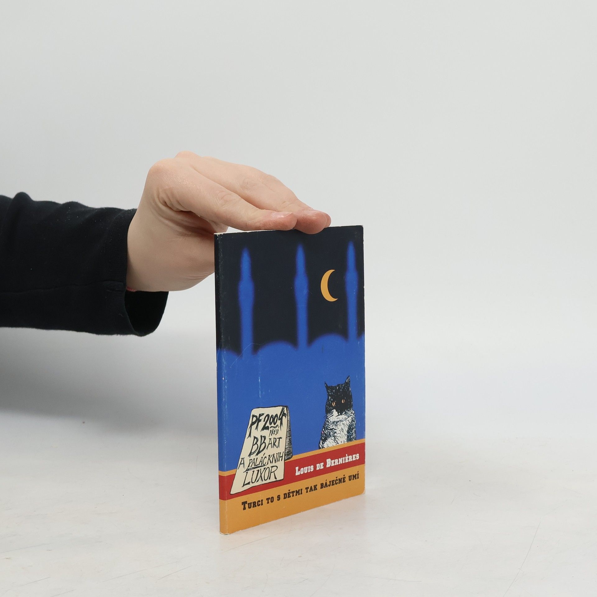 Louis de Bernieres Turci to s dětmi tak báječně umí