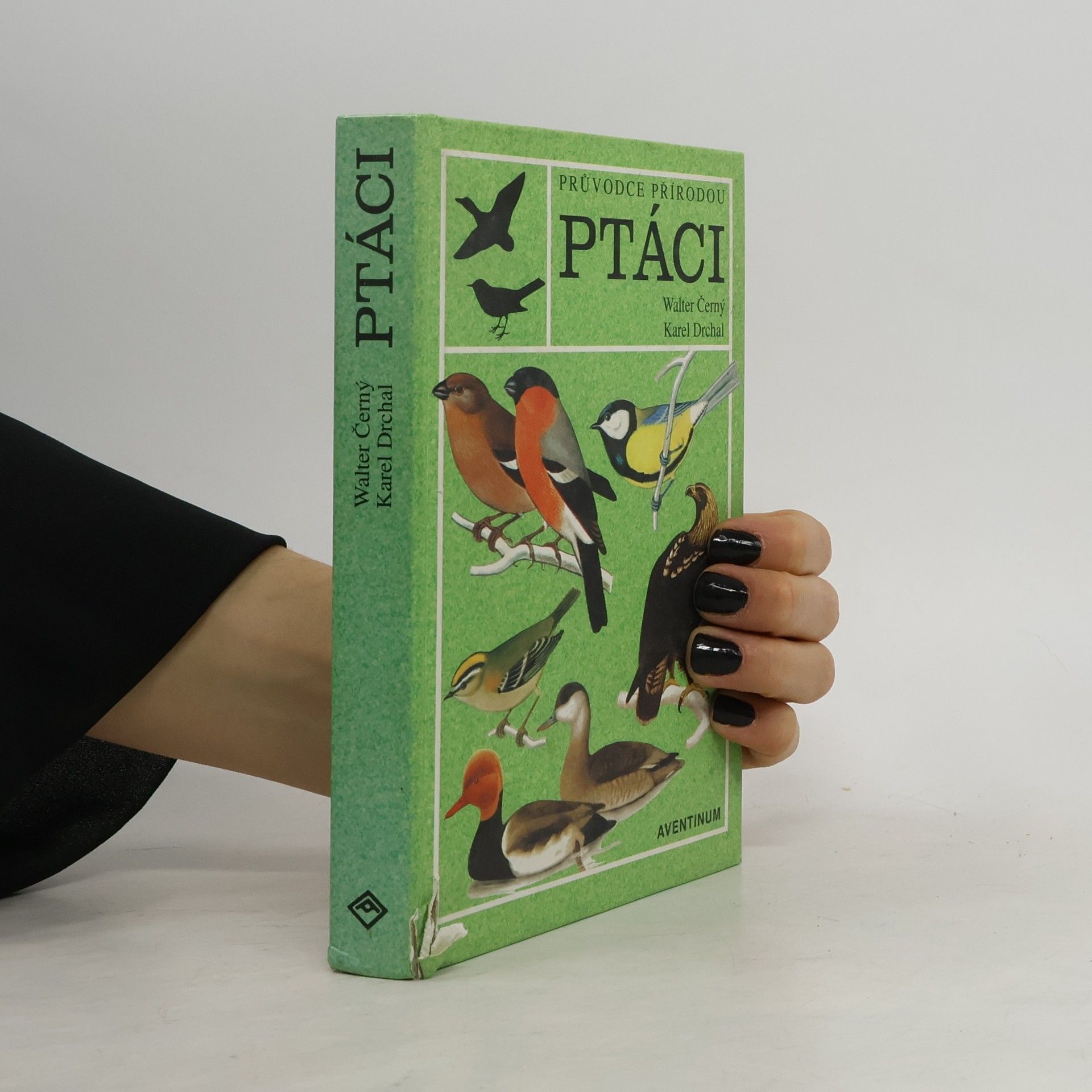 Walter Černý Ptáci