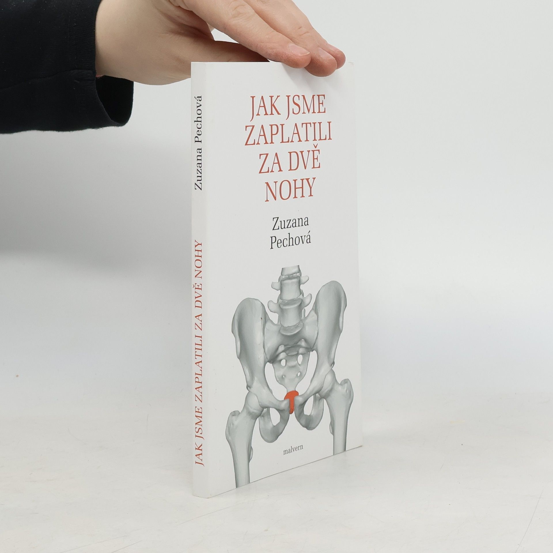 Zuzana Pechová Jak jsme zaplatili za dvě nohy