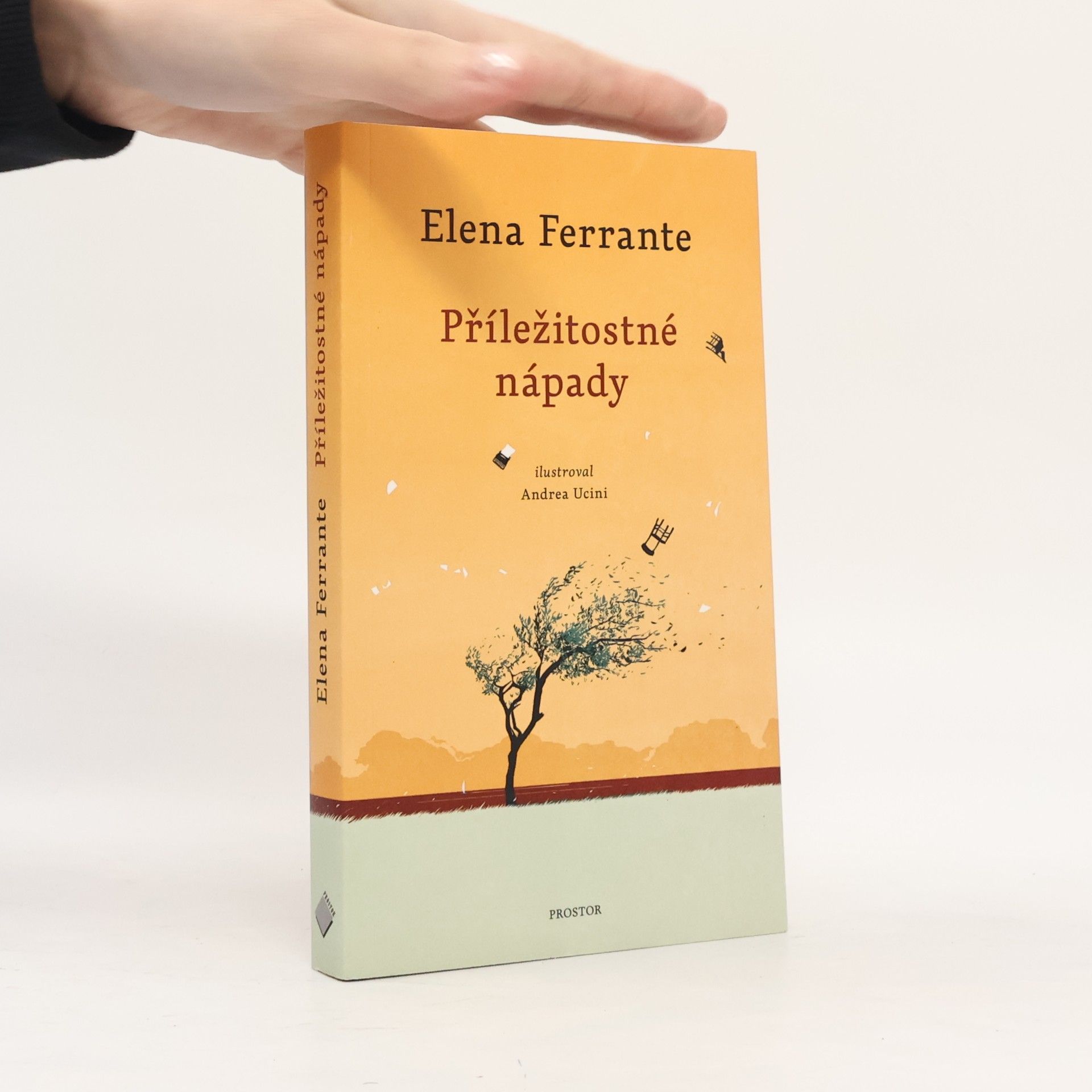 Elena Ferrante Příležitostné nápady