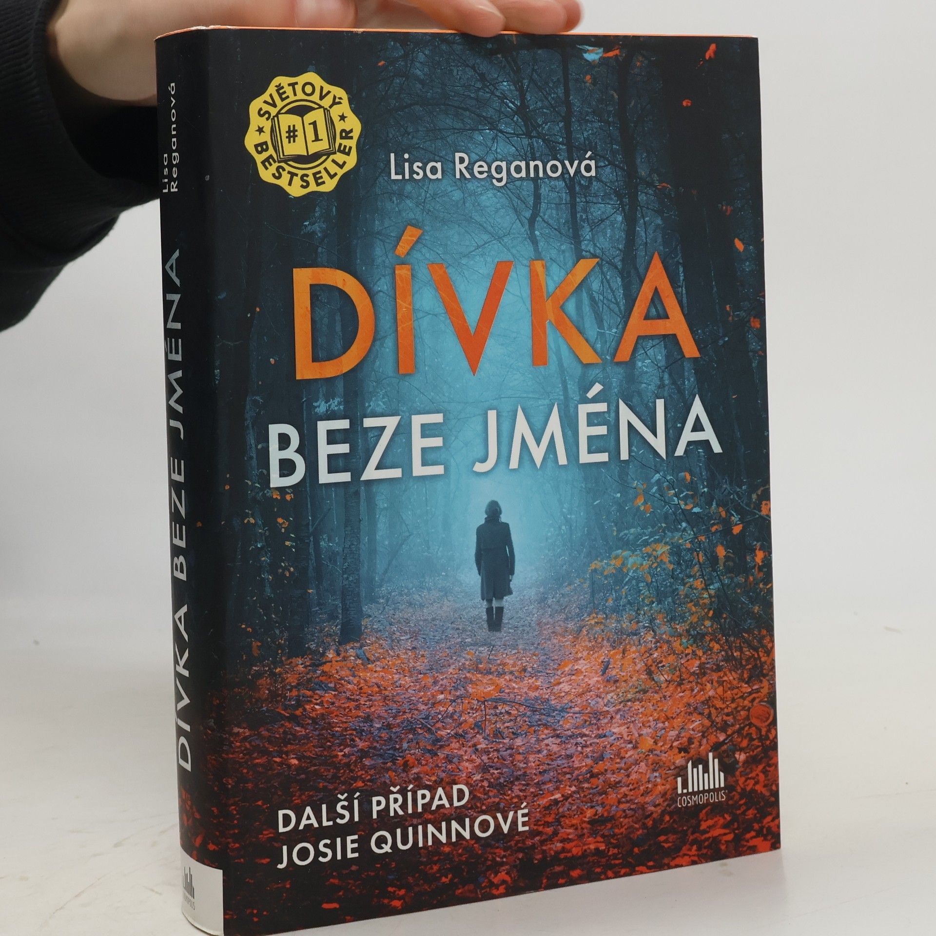 Lisa Regan Dívka beze jména: Další případ Josie Quinnové