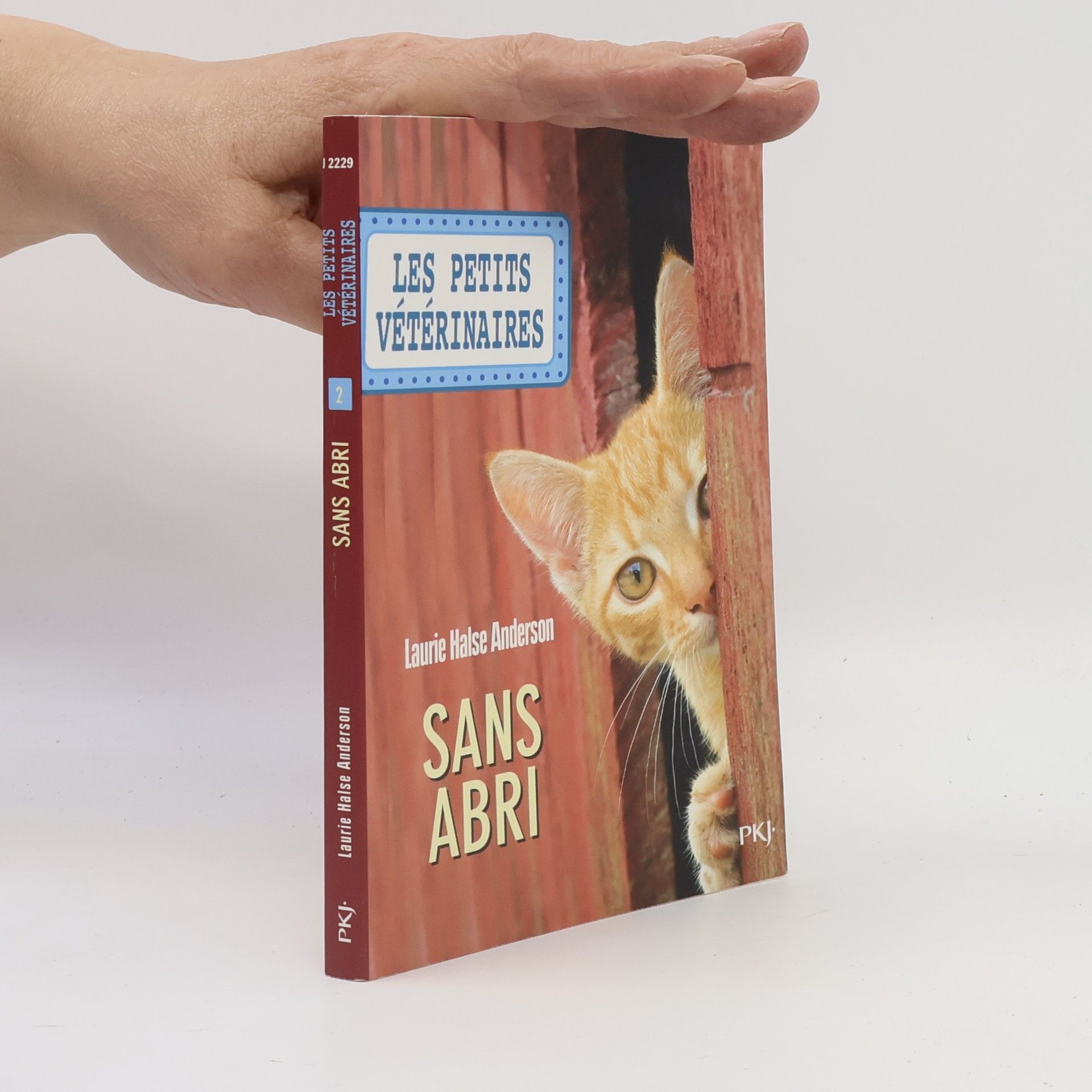 Laurie Halse Anderson Sans abri