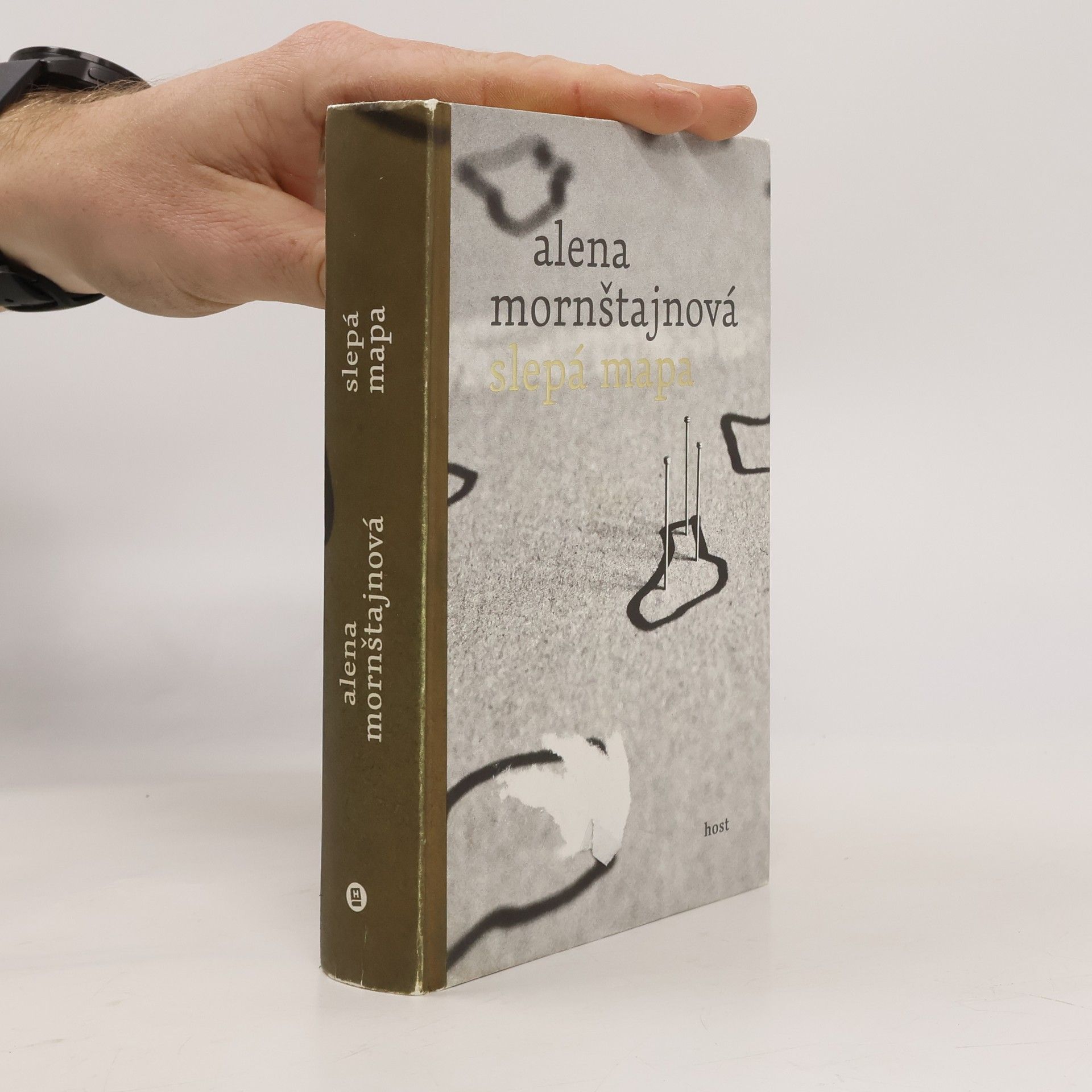 Alena Mornštajnová Slepá mapa