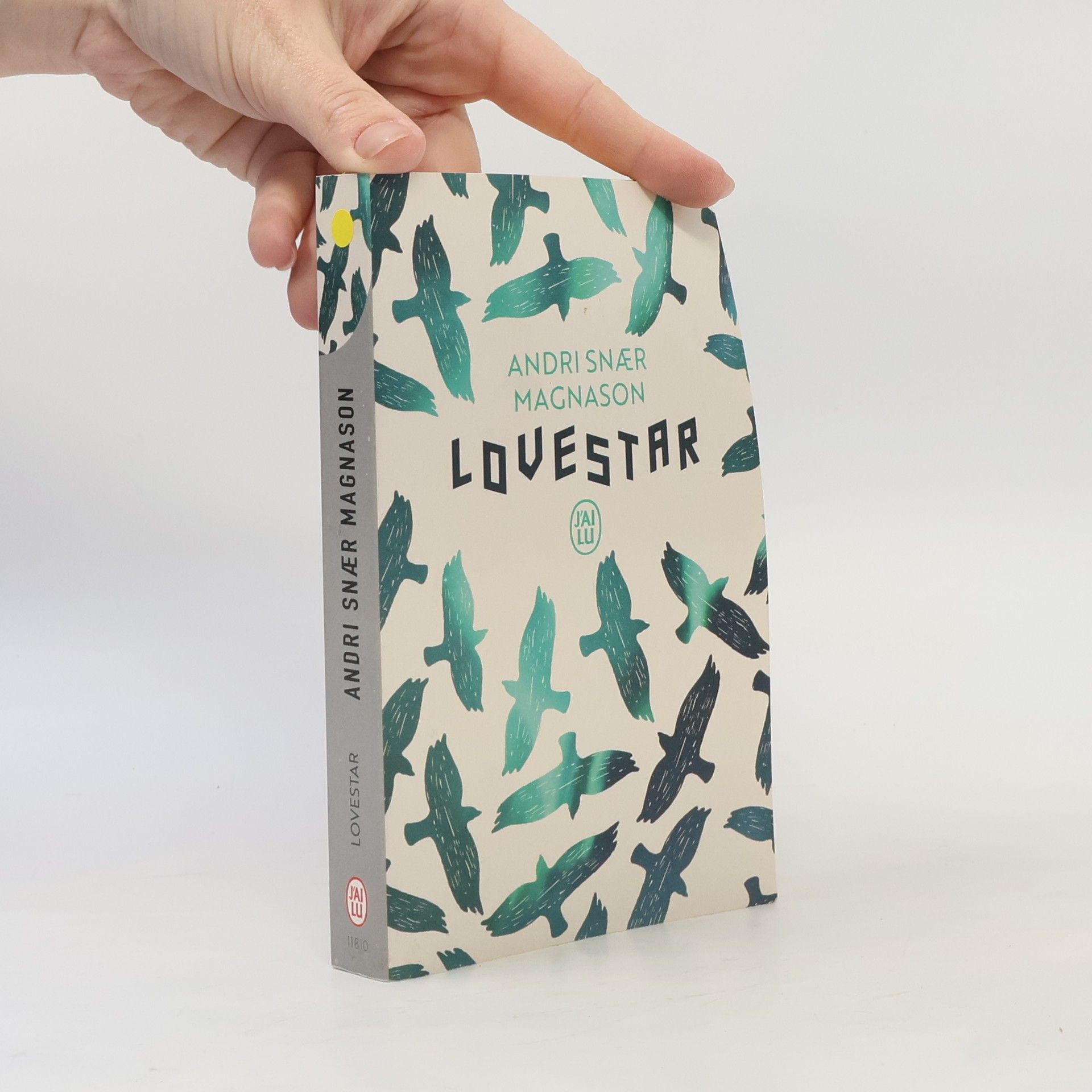 Magnason Andri Snaer Lovestar