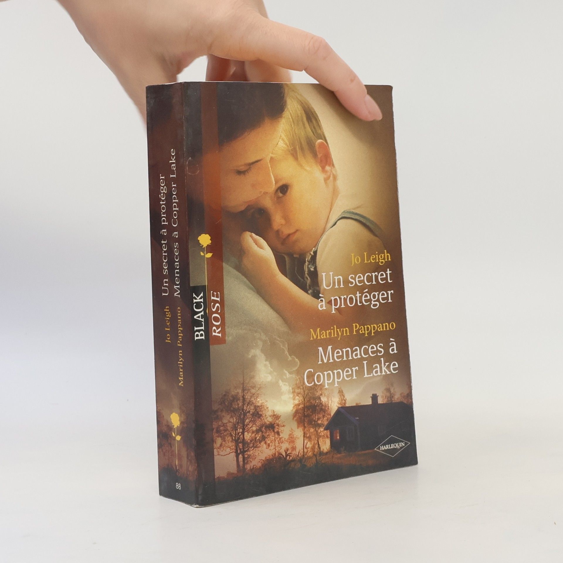 Un secret à protéger / Menaces à Copper Lake