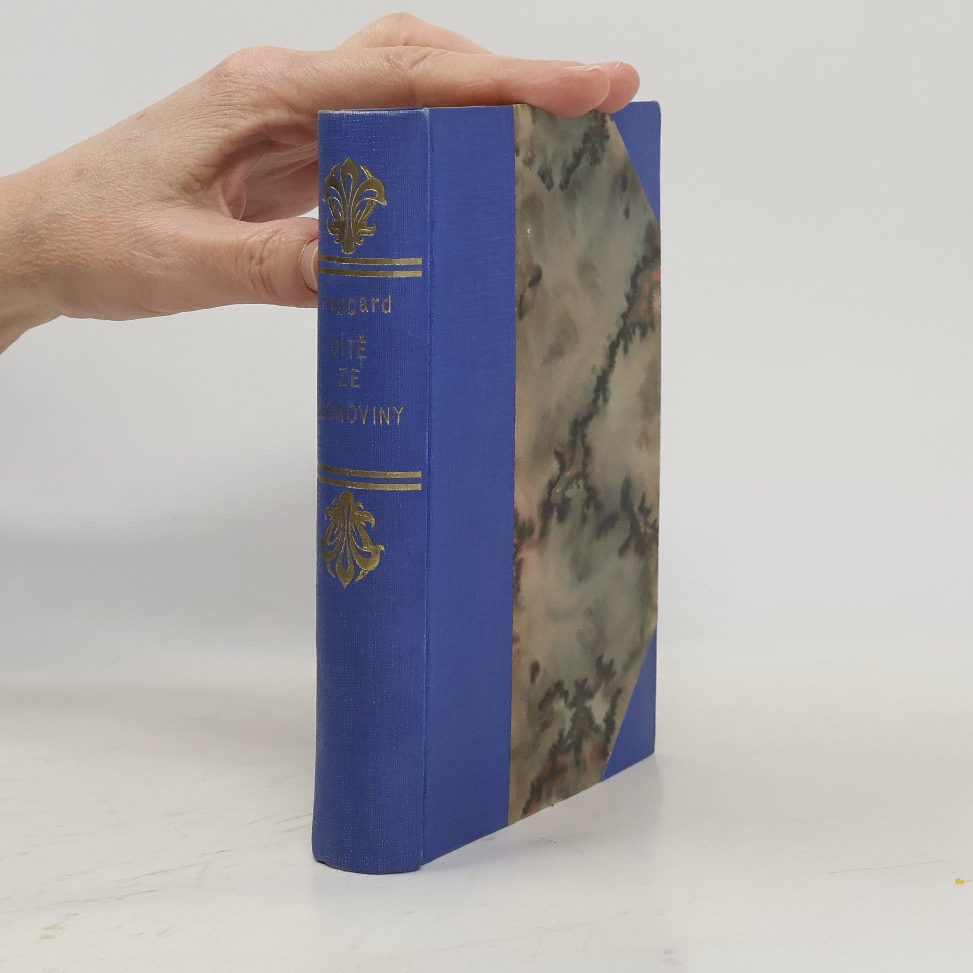 H. Rider Haggard Dítě ze slonoviny