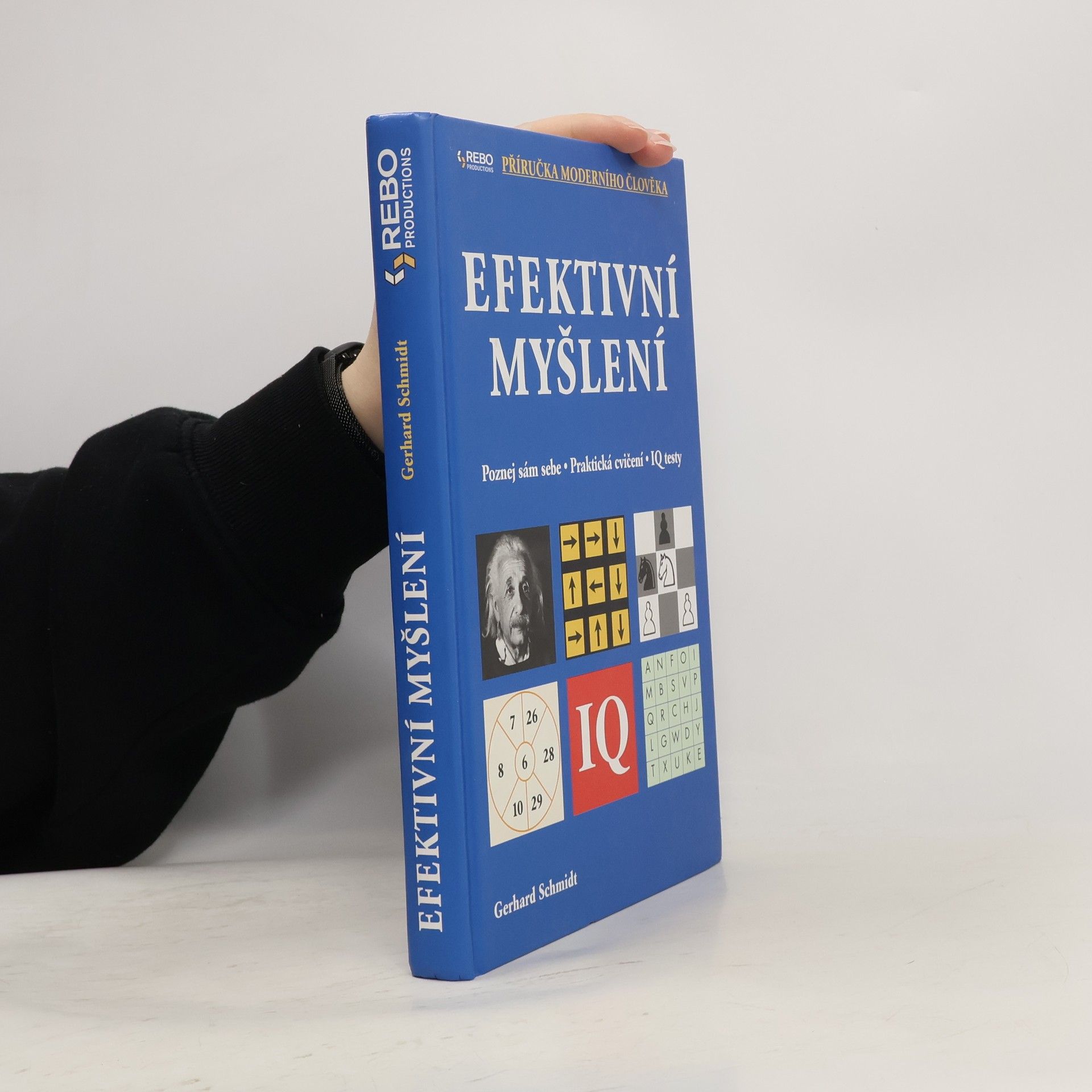 Hans-Gerhard Schmidt Efektivní myšlení