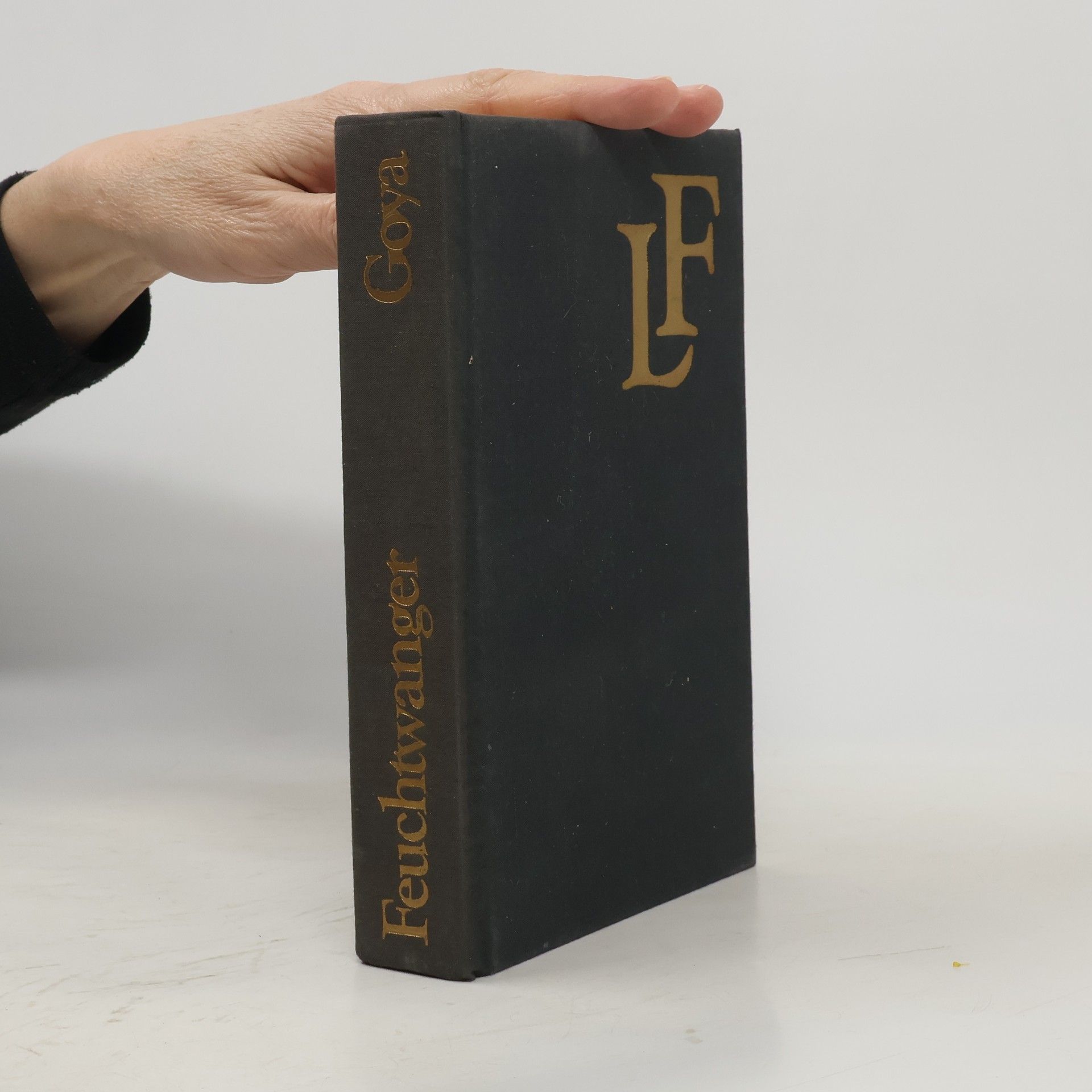 Lion Feuchtwanger Goya